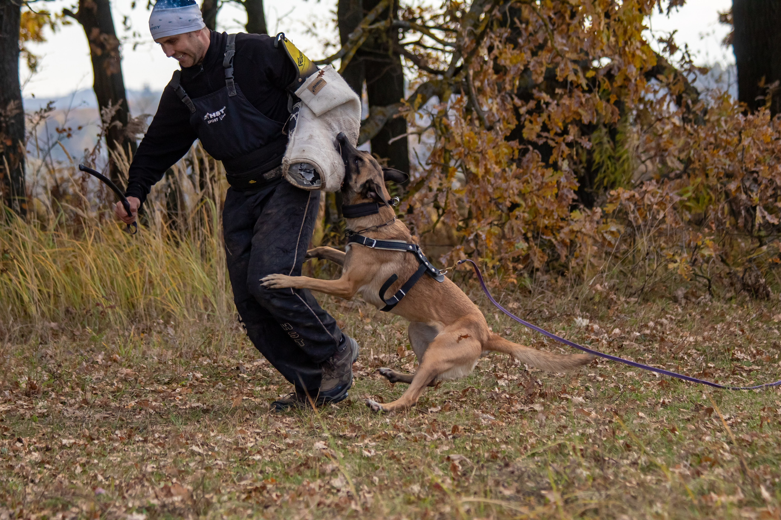 Тренинг защитного раздела. Фотограф анималист — Тула, Москва