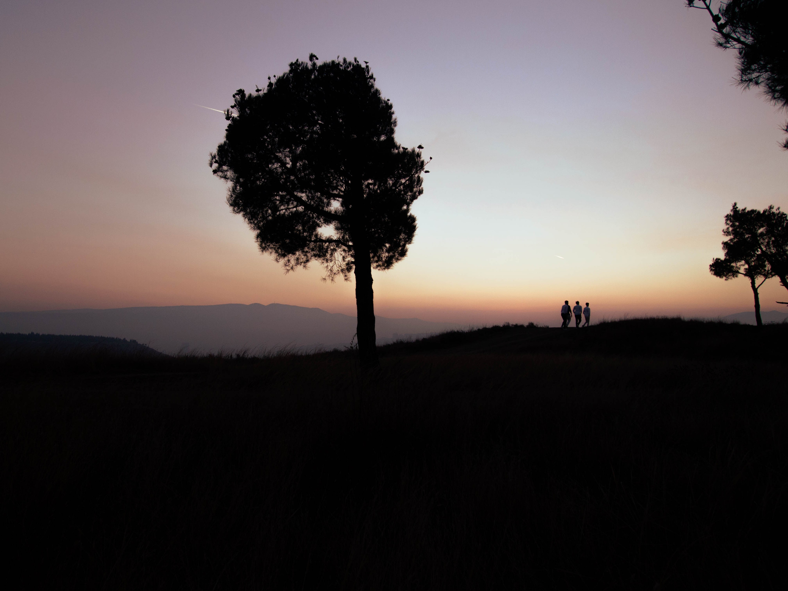 Природа. Фотограф Котий Даниил