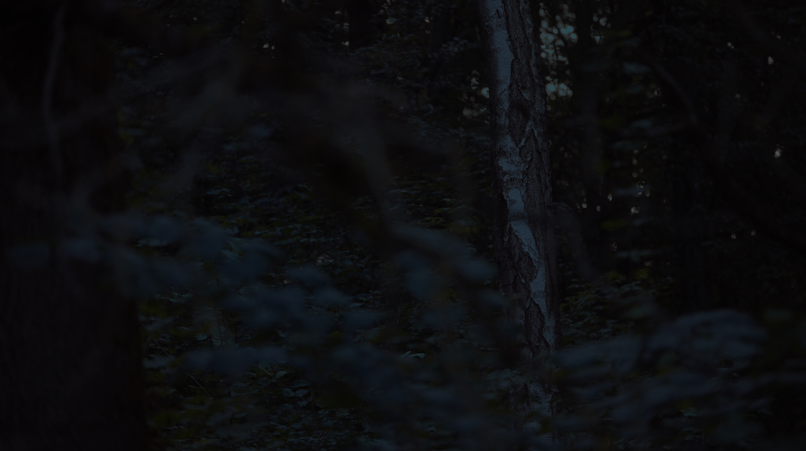 The limits of the world. Tokcolor