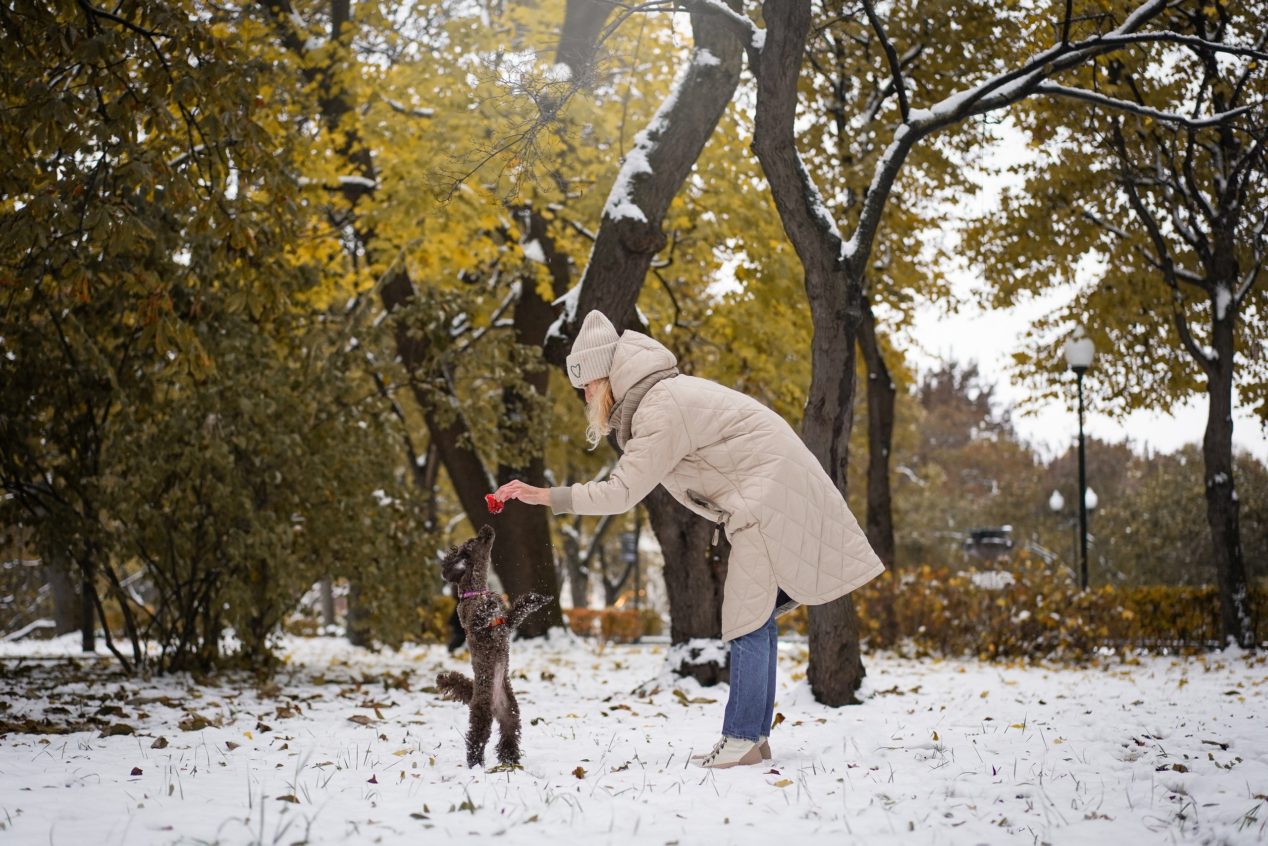 Марина Артем Мия и Хлоя. Фотограф-анималист в Санкт-Петербурге Яна Мартынова