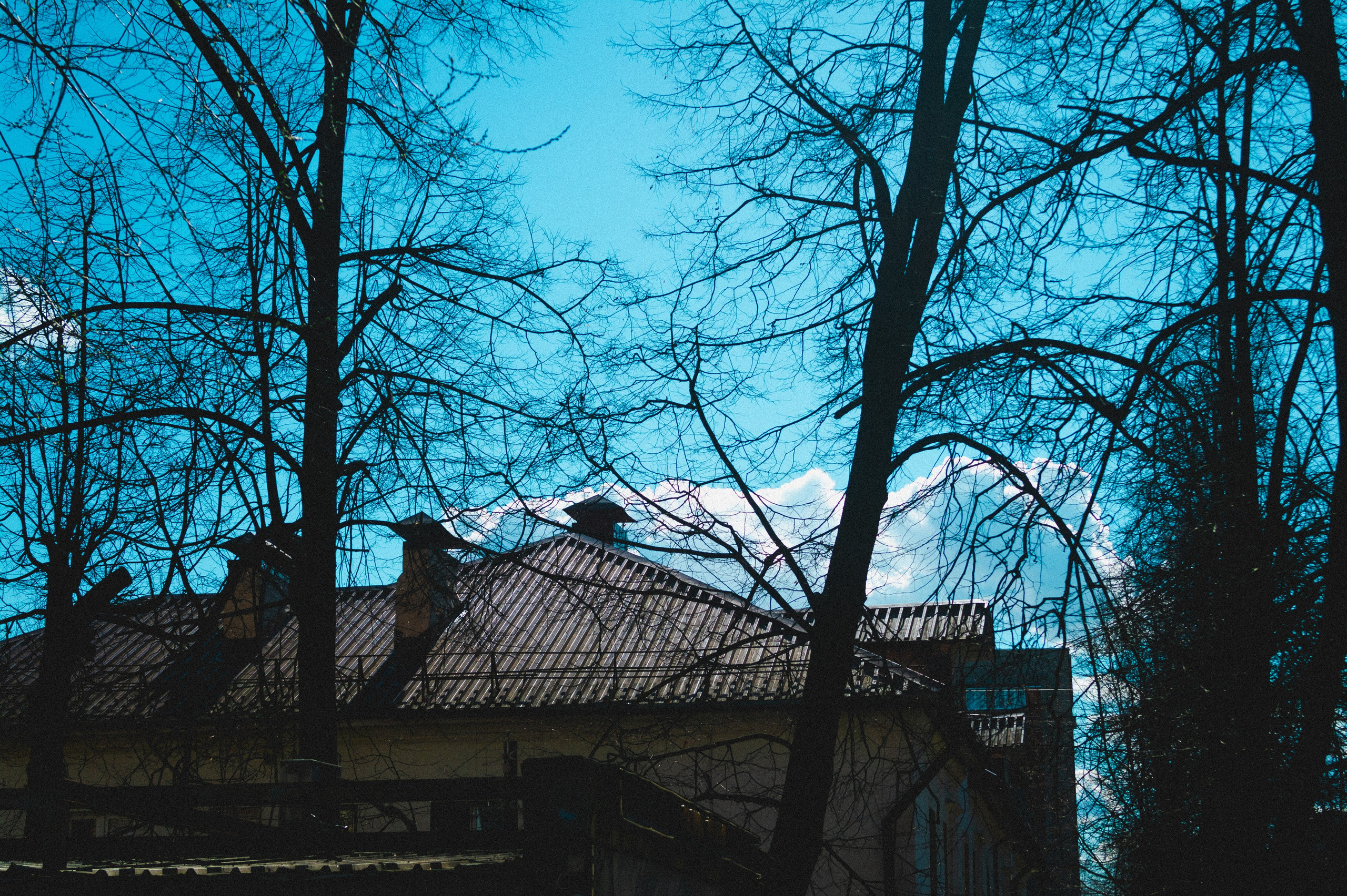 13 years ago. Den Mirov — Photographer, Musician