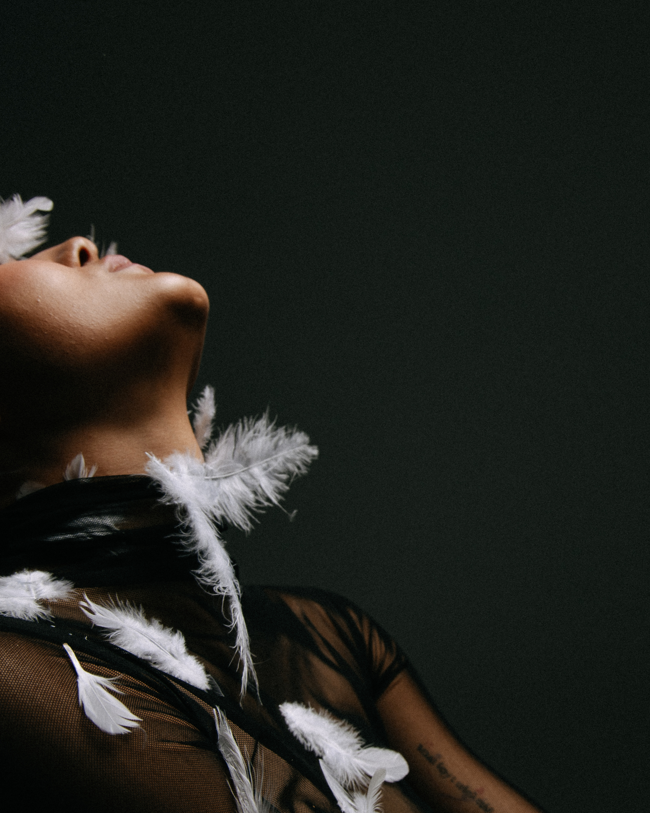 Glxy Drn Bird. Фотограф Андрей Куськало