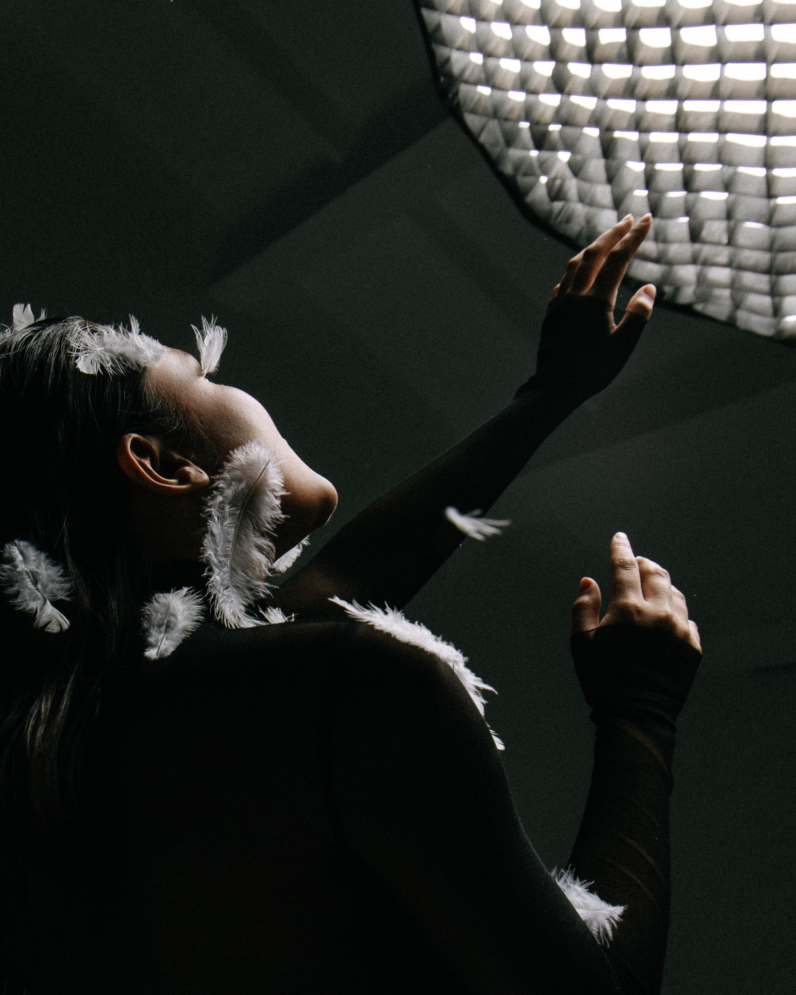 Glxy Drn Bird. Фотограф Андрей Куськало