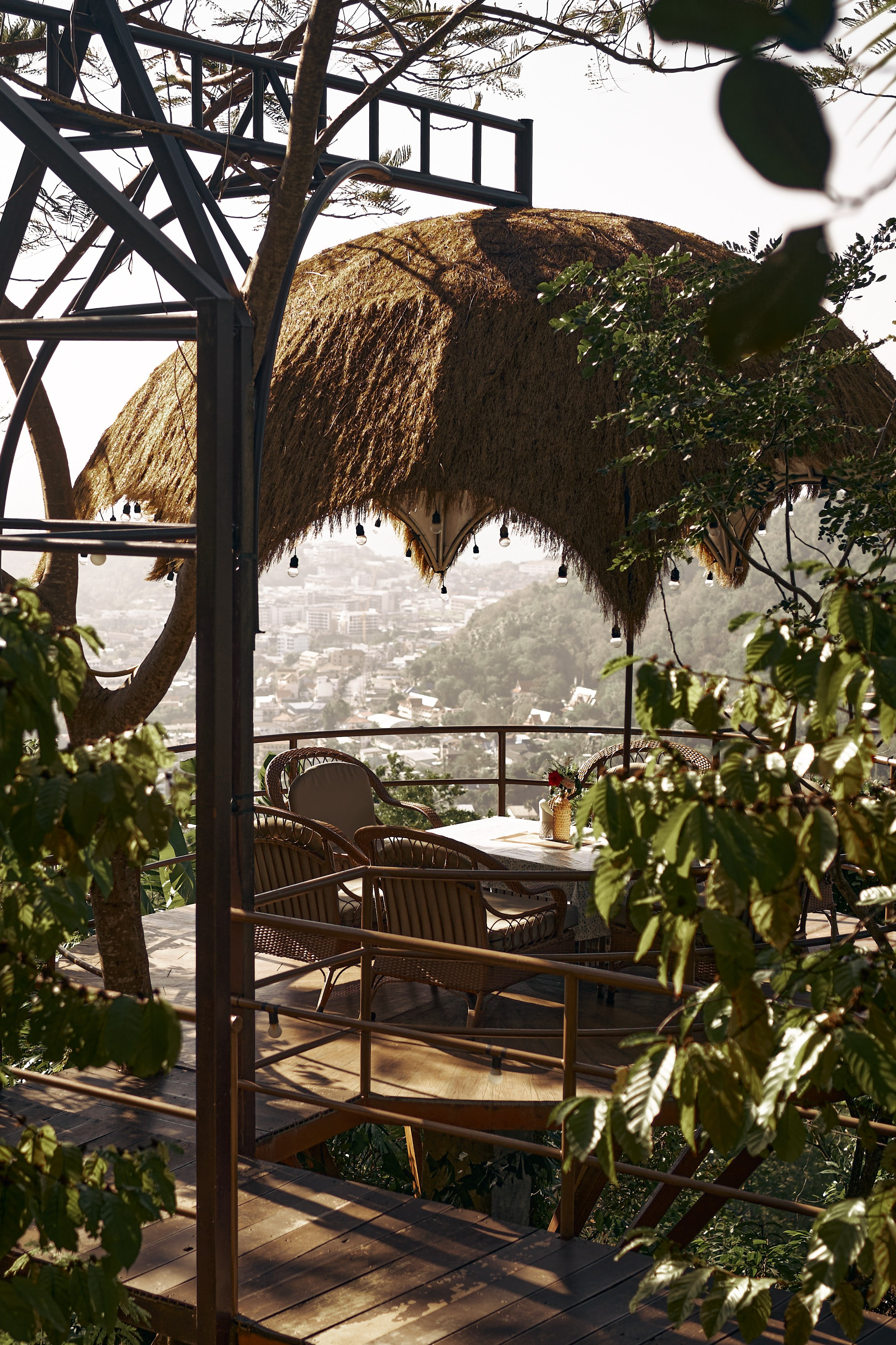 Jungle Farm. Mayskaya photography