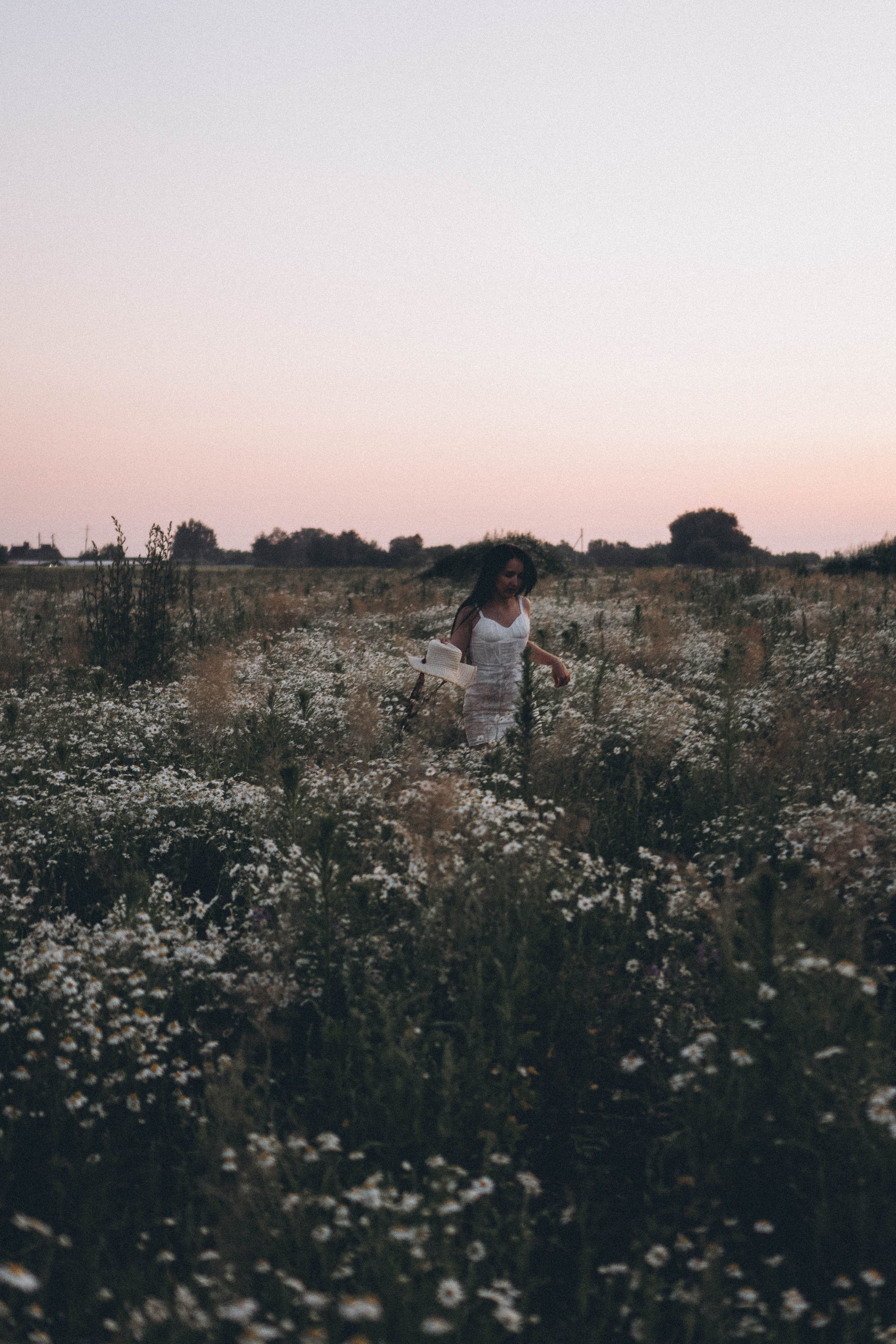Ромашковое поле. Профессиональный фотограф, Санкт-Петербург — Виктория Богомолова