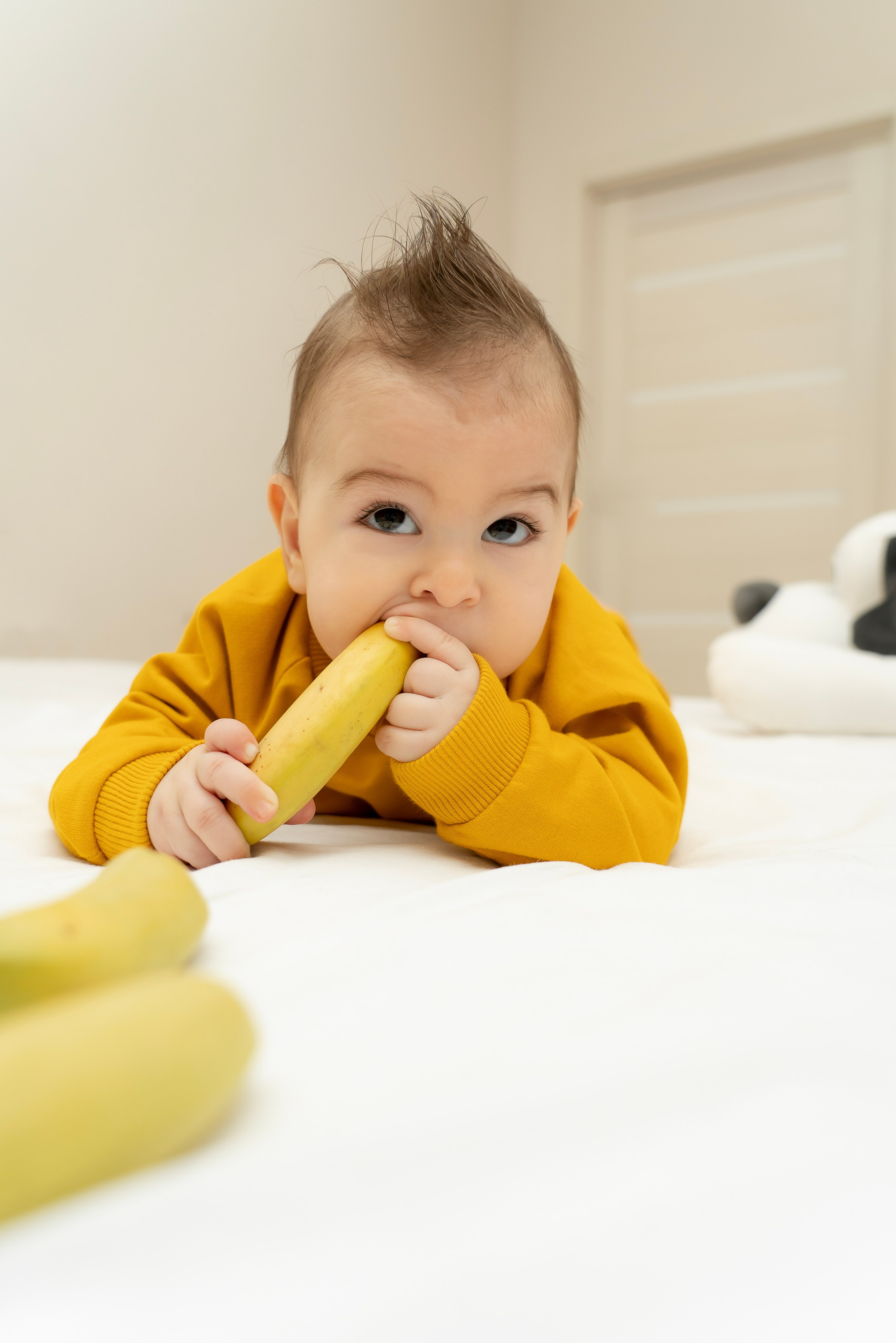 ЛЮБИМЧИК ГАСПАРЧИК. Фотограф Москва Екатерина Бондаренко