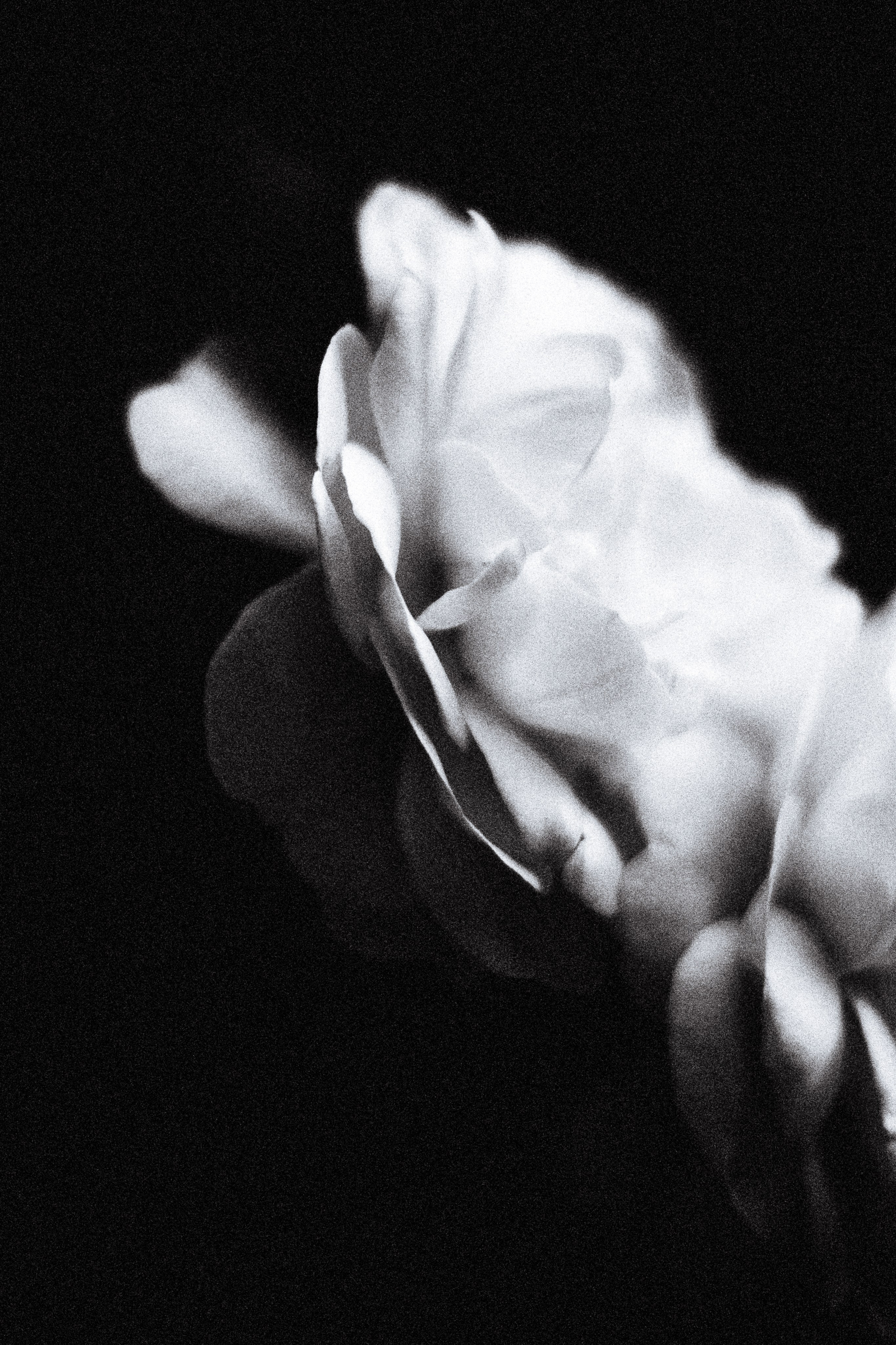 Портретный и репортажный фотограф г. Тюмень Ник Стенсил