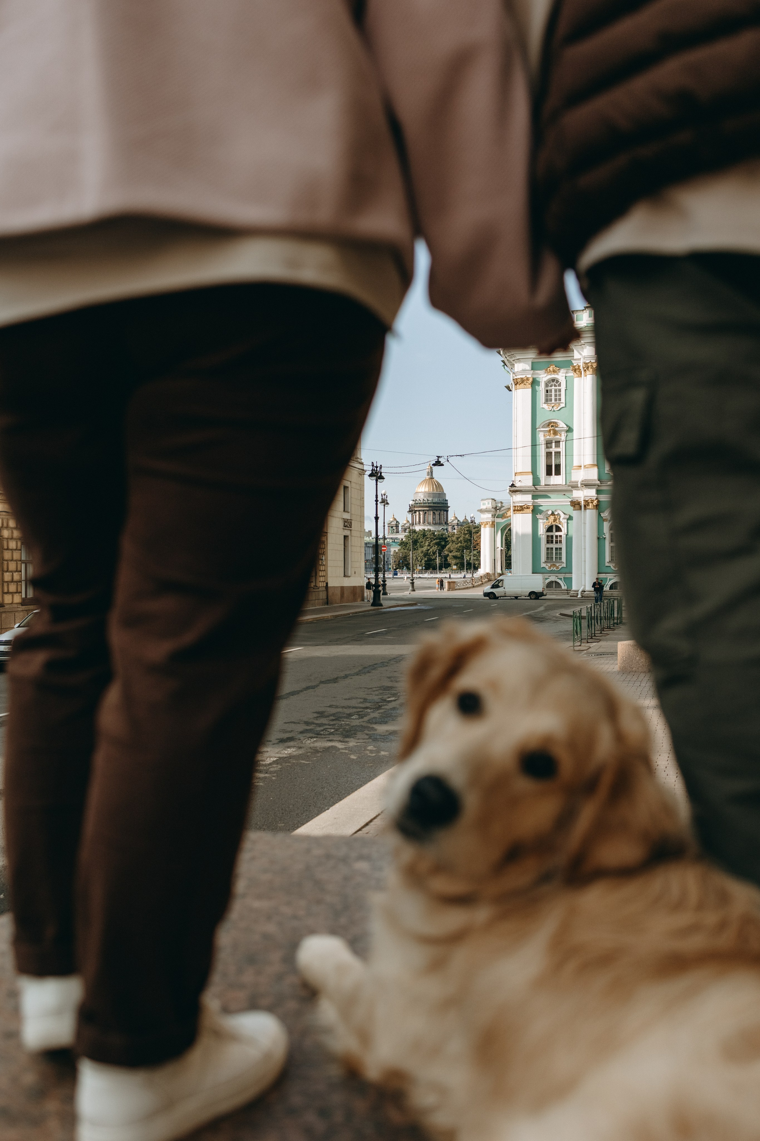 Бетти и ее семья. Фотограф — Анималист | Санкт-Петербург
