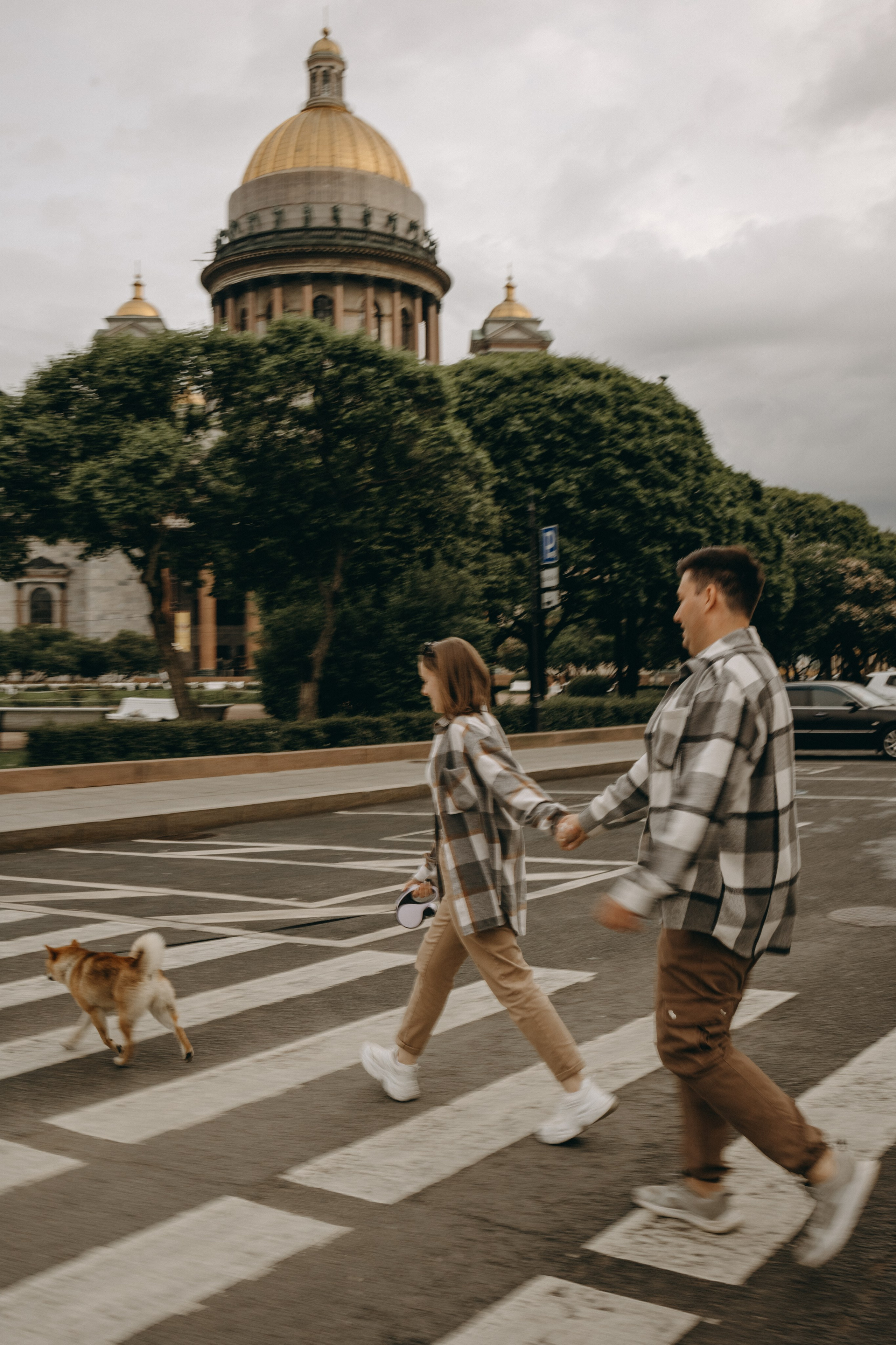 Сириус и его семья. Фотограф — Анималист | Санкт-Петербург