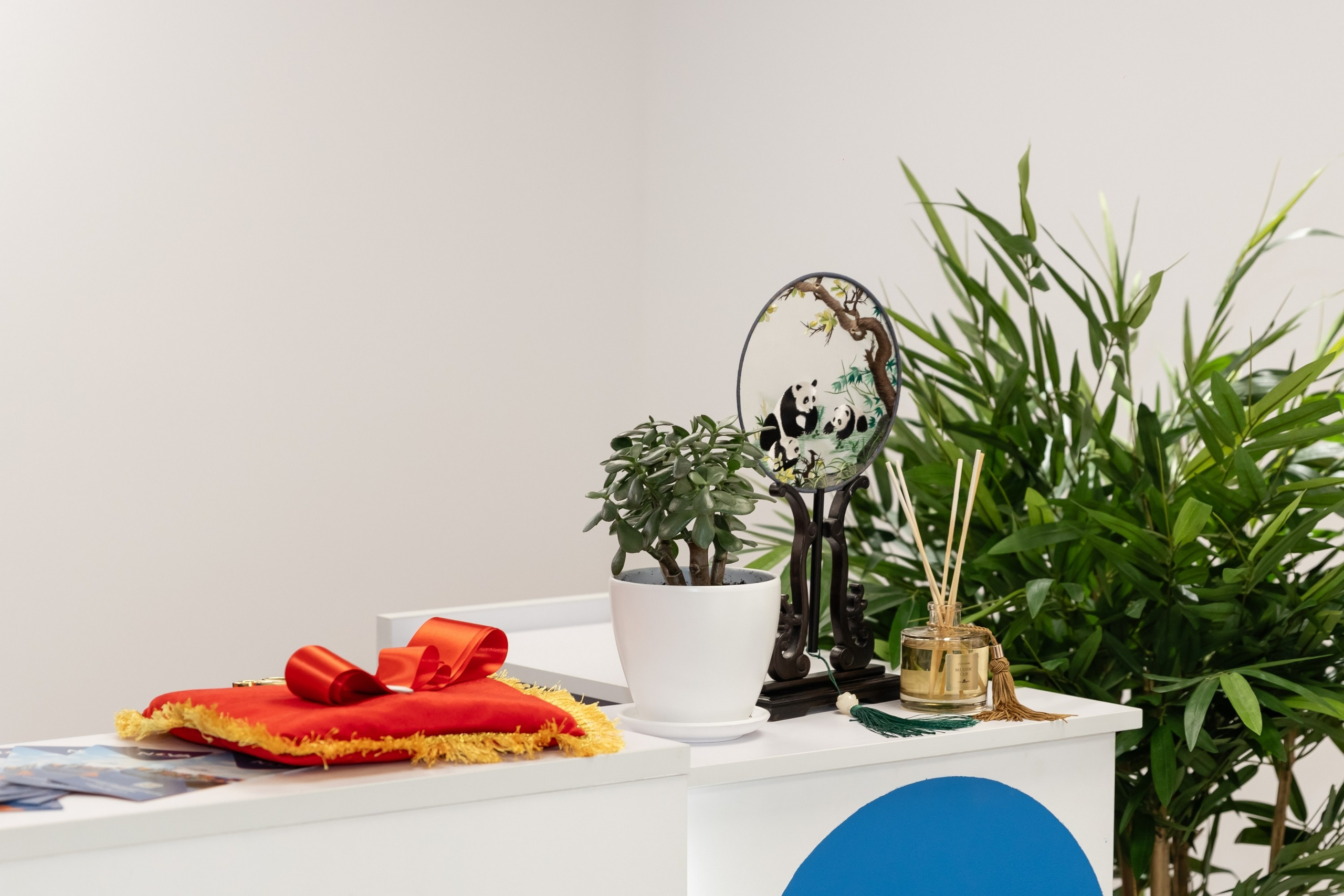 NOVA конференция. Свадебный фотограф Москва