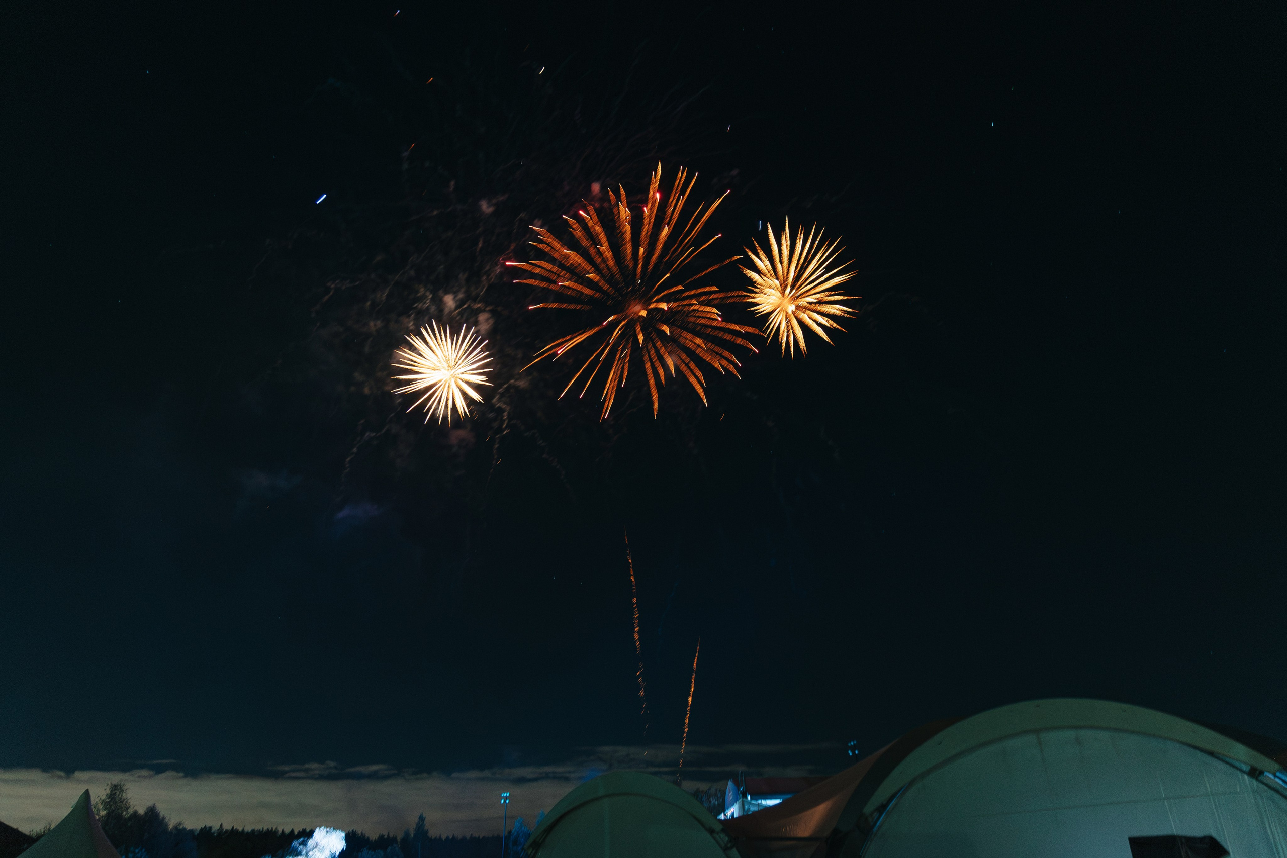 Россйский интернет форум 2025. Свадебный фотограф Москва Саша Серегина (Сашина)