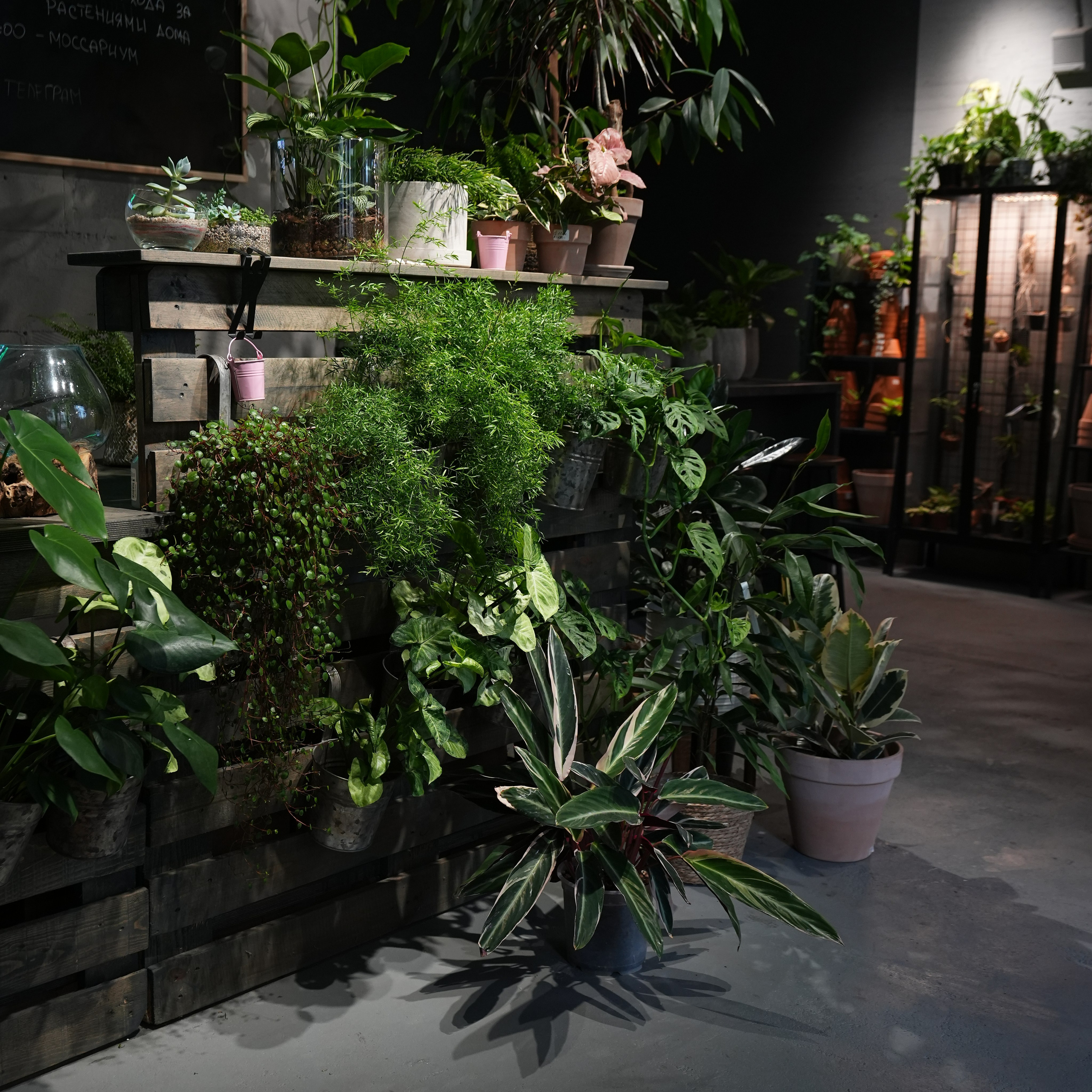 Интерьерная фотосъемка флористического магазина