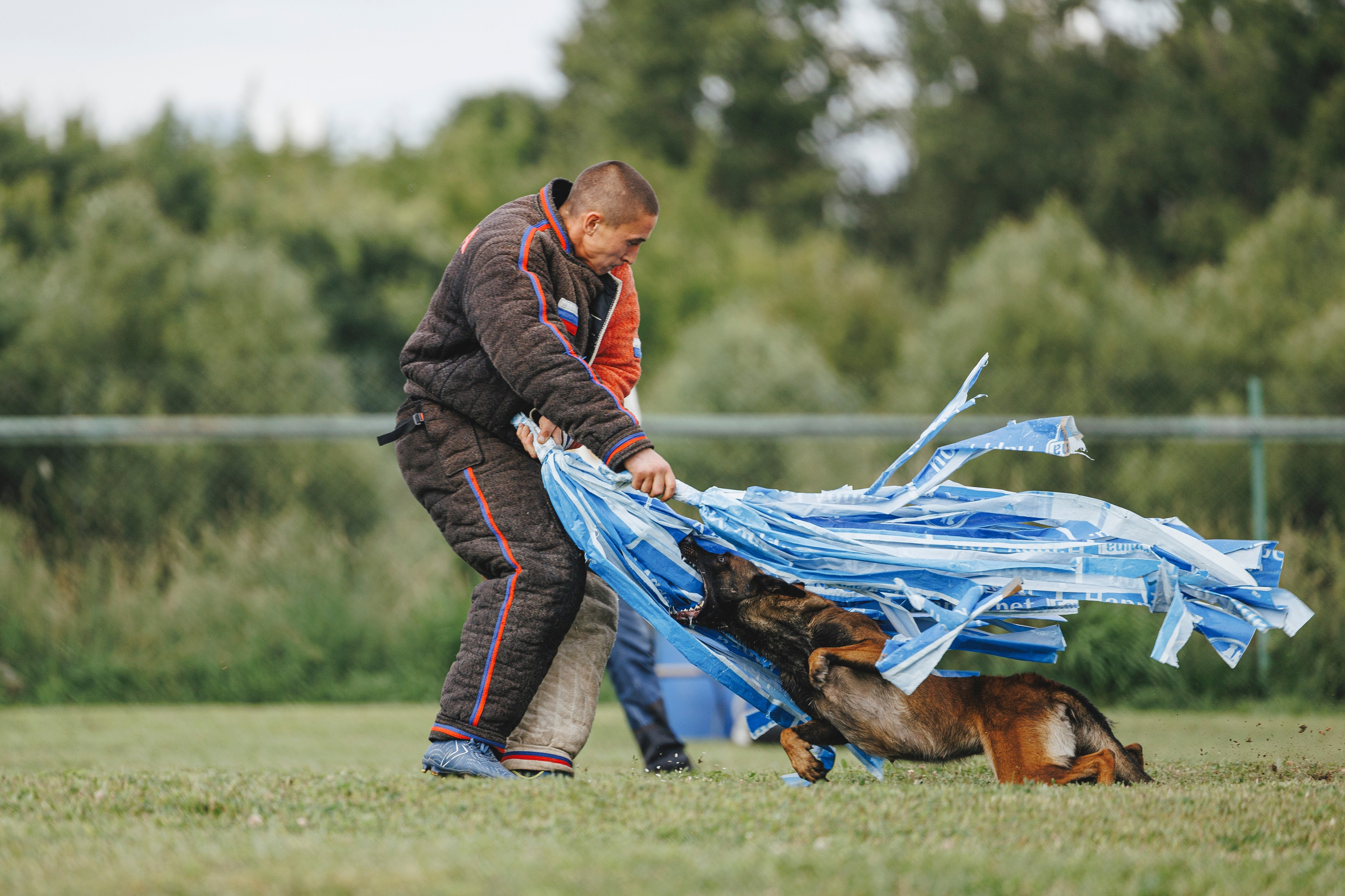 08.08.25-10.08.25 ЧР по мондьорингу г. Вологда. Фотограф-анималист Анна Маринич