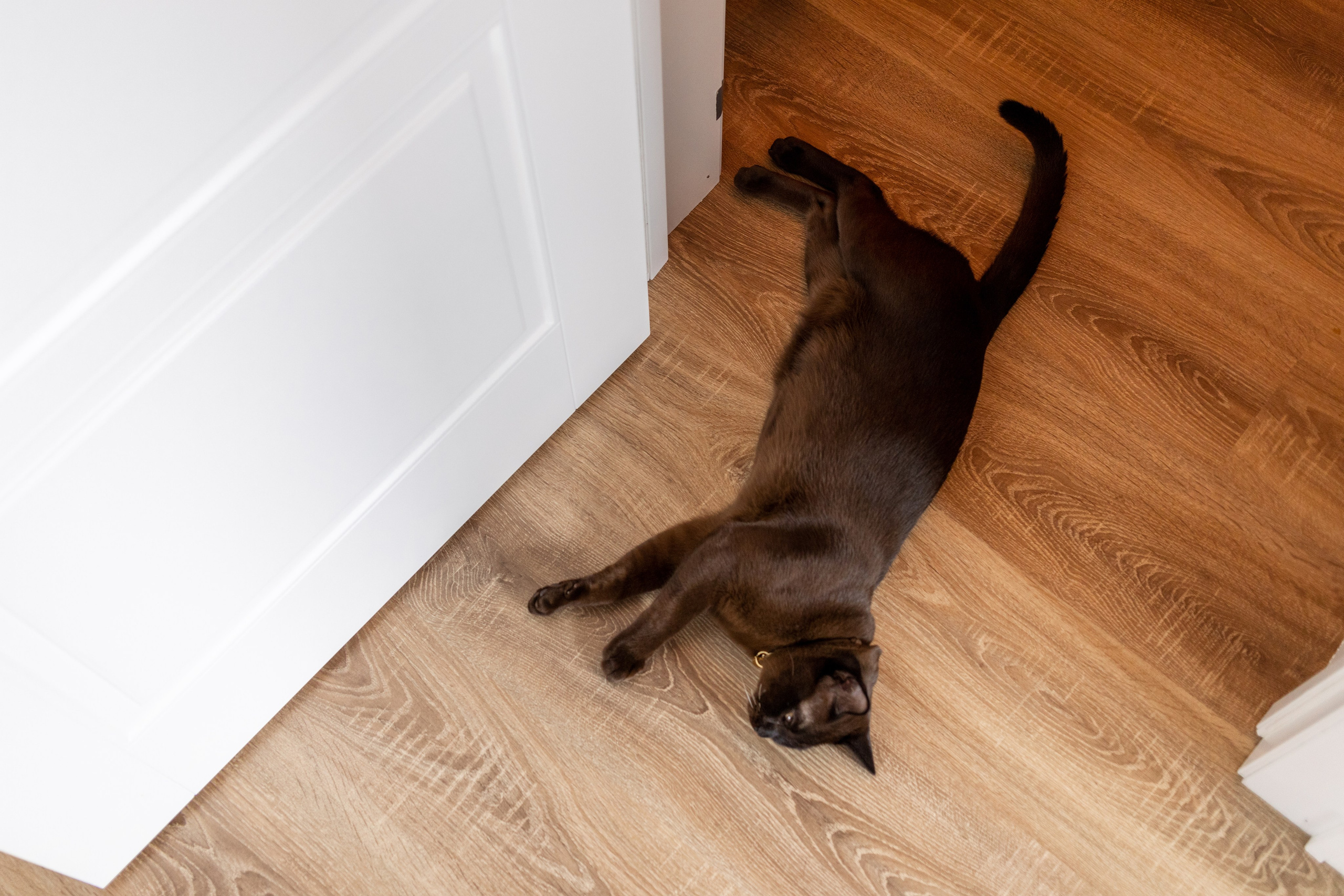 Дом. Репортажный фотограф Анастасия Головко