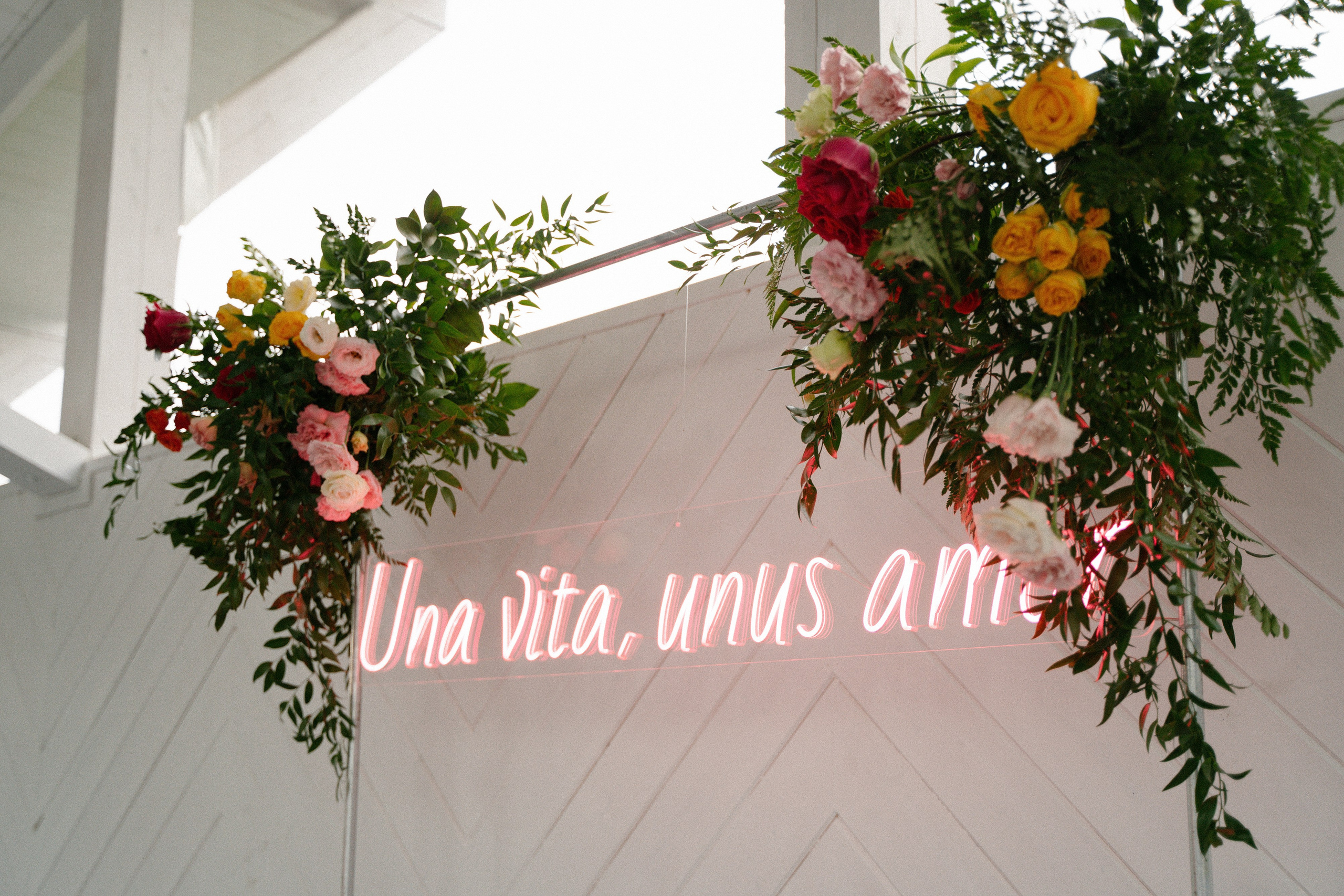 Любовь и танцы. Главная