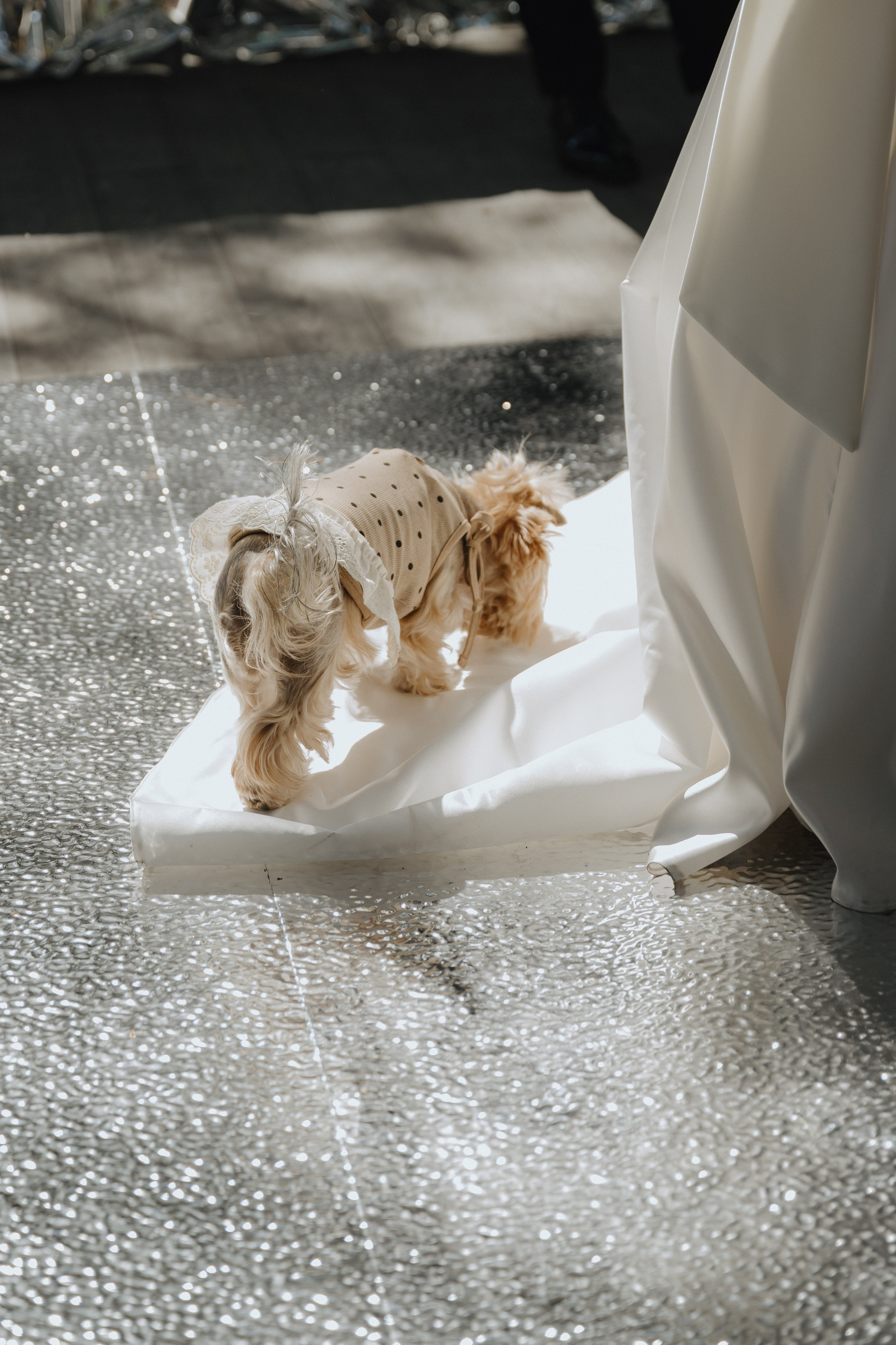 Анжелика & Руслан, LaVilla