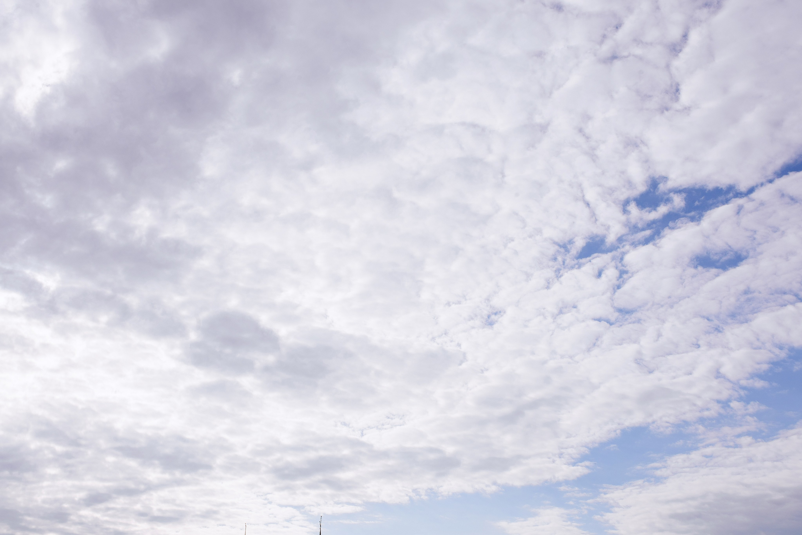 Виктория и Илья. Свадебный фотограф Витебск Минск