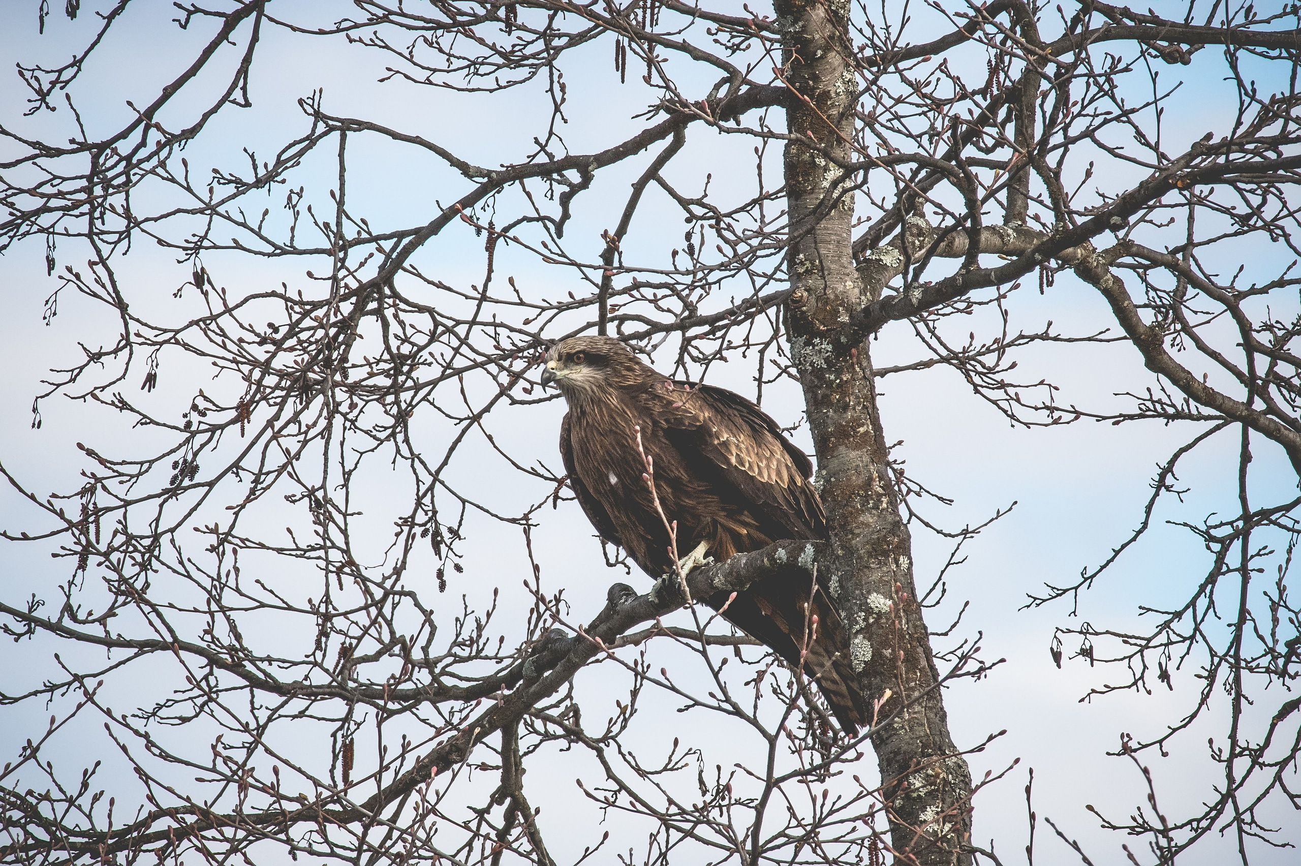 Фотоохота. Репортажный фотограф в Ижевске Константин Ившин