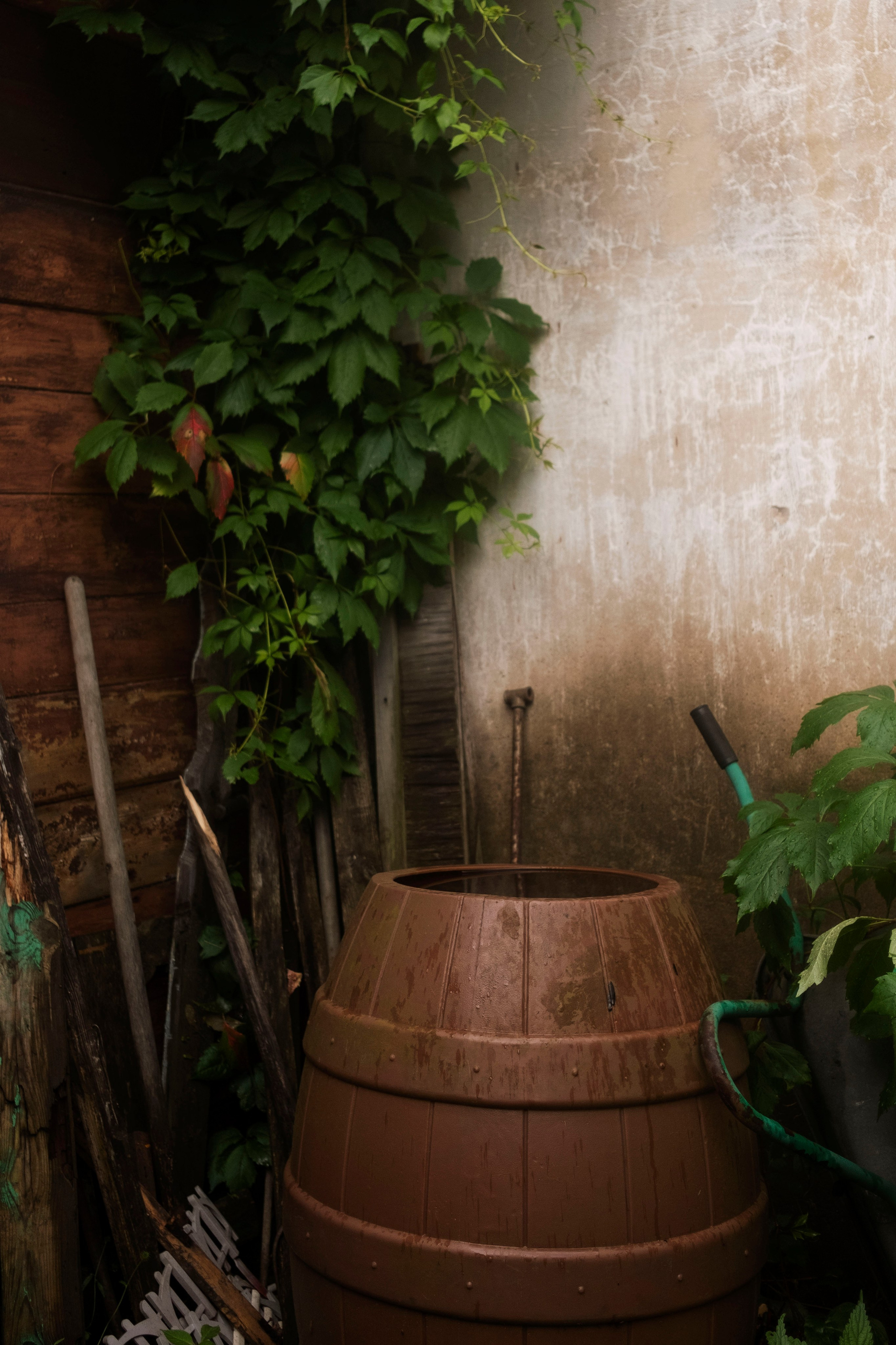 Дача, 2020. Портретный фотограф в Москве Евгения Яковенко