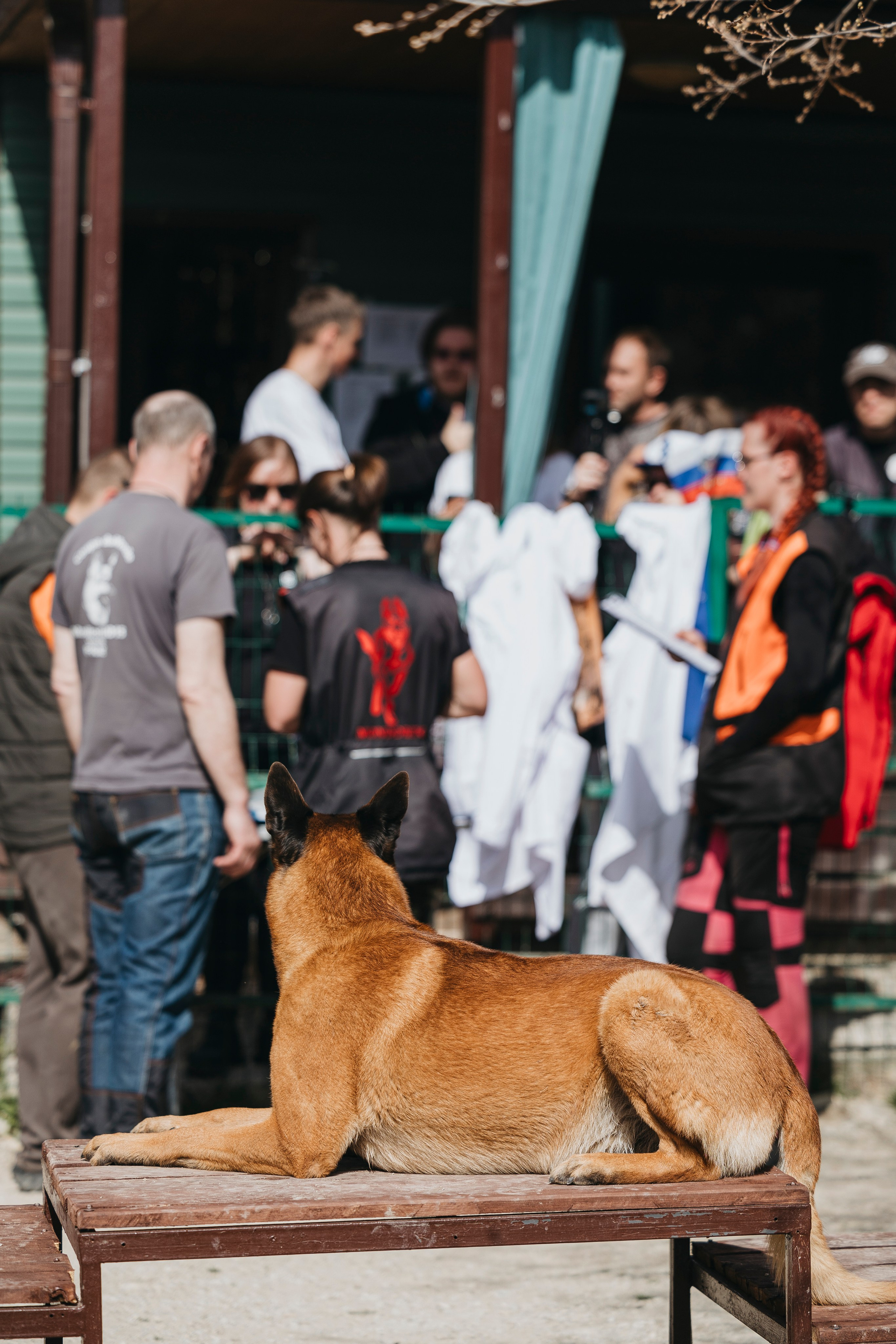 Геленджик Мондьоринг. Фотограф-анималист Анна Маринич