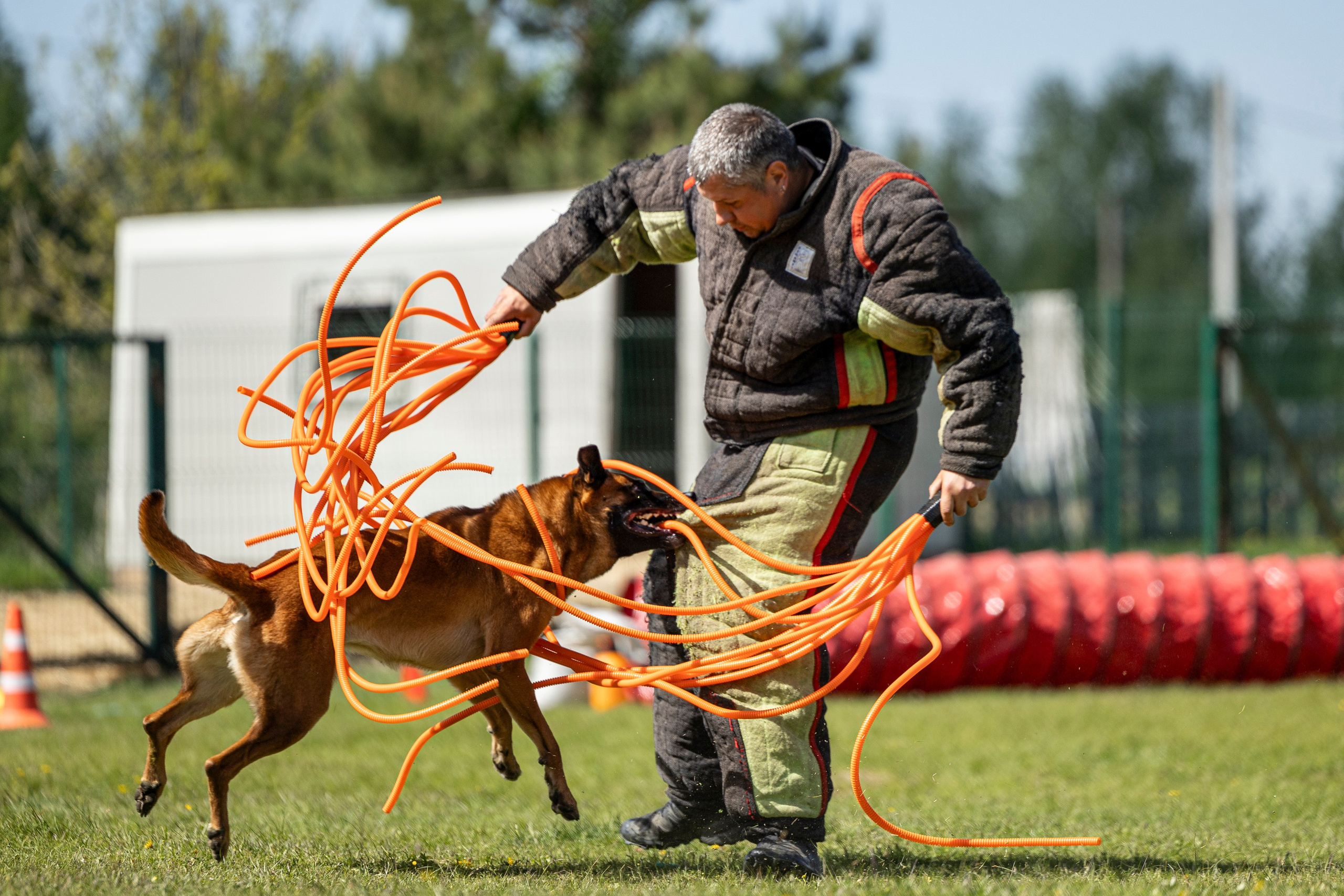 Испытания по мондьорингу в Нижнем Новгороде. Фотограф-анималист Анна Маринич