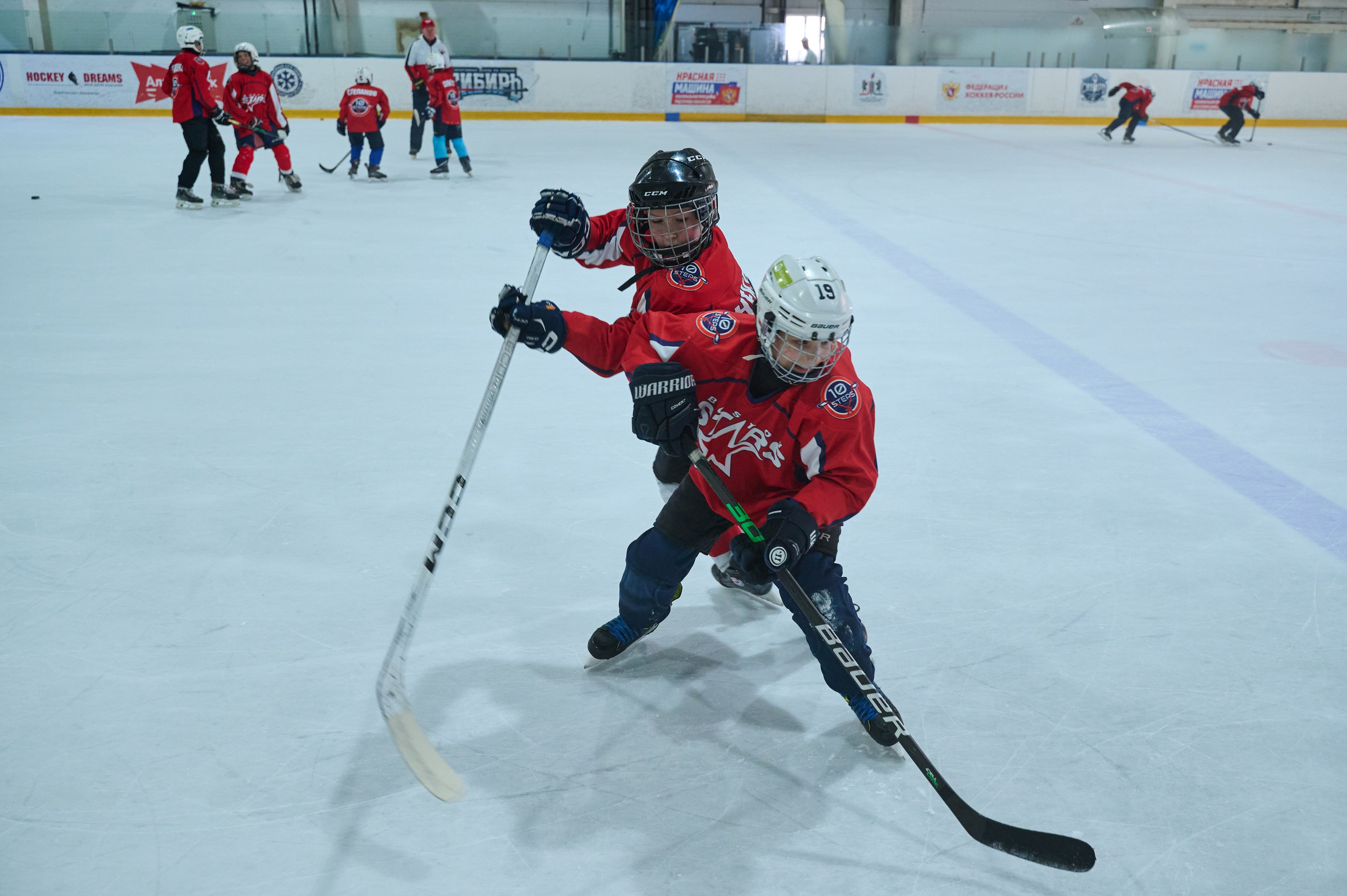 Boston Stars. Фотограф Универсал в Новосибирске