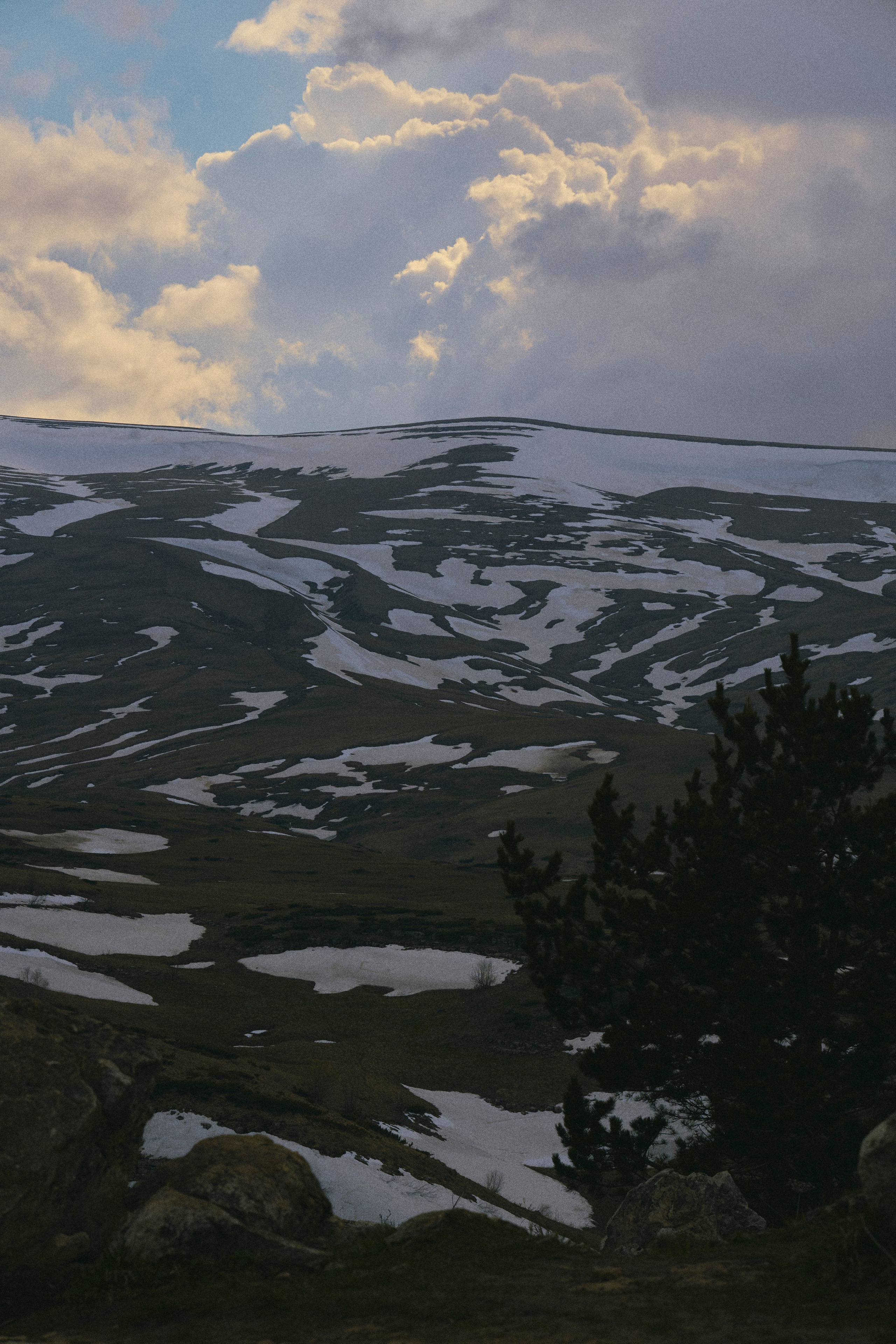 Krasnodar. Гасанова Алина|Фотограф в Санкт-Петербурге