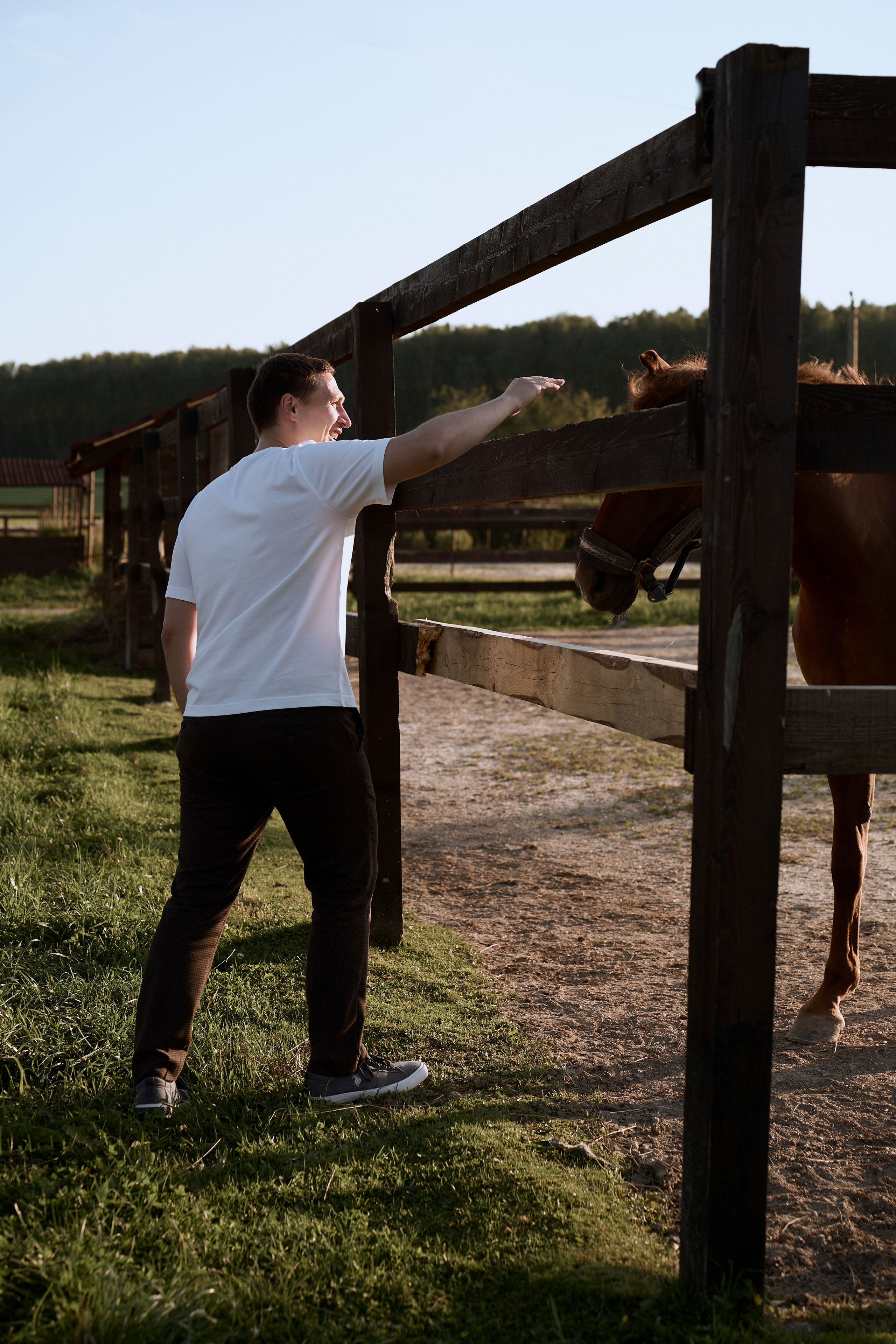 В лучах лета. Ваш фотограф Анастасия Болотникова