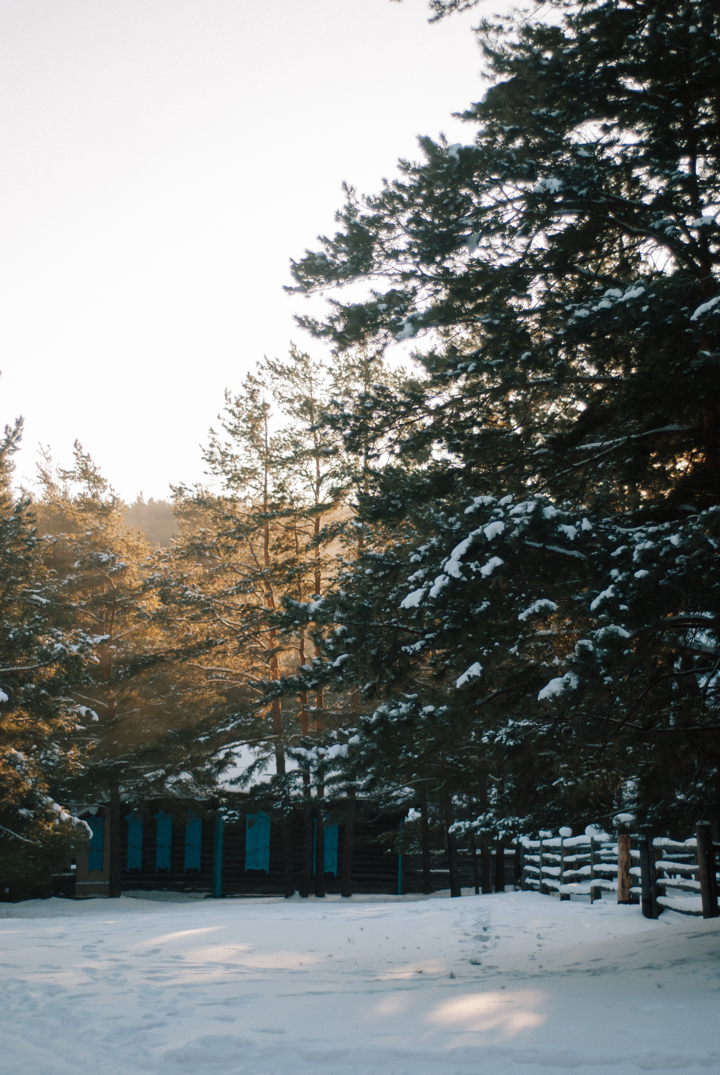 Ксения Чинчикеева. Фотограф Иркутск|Улан-Удэ