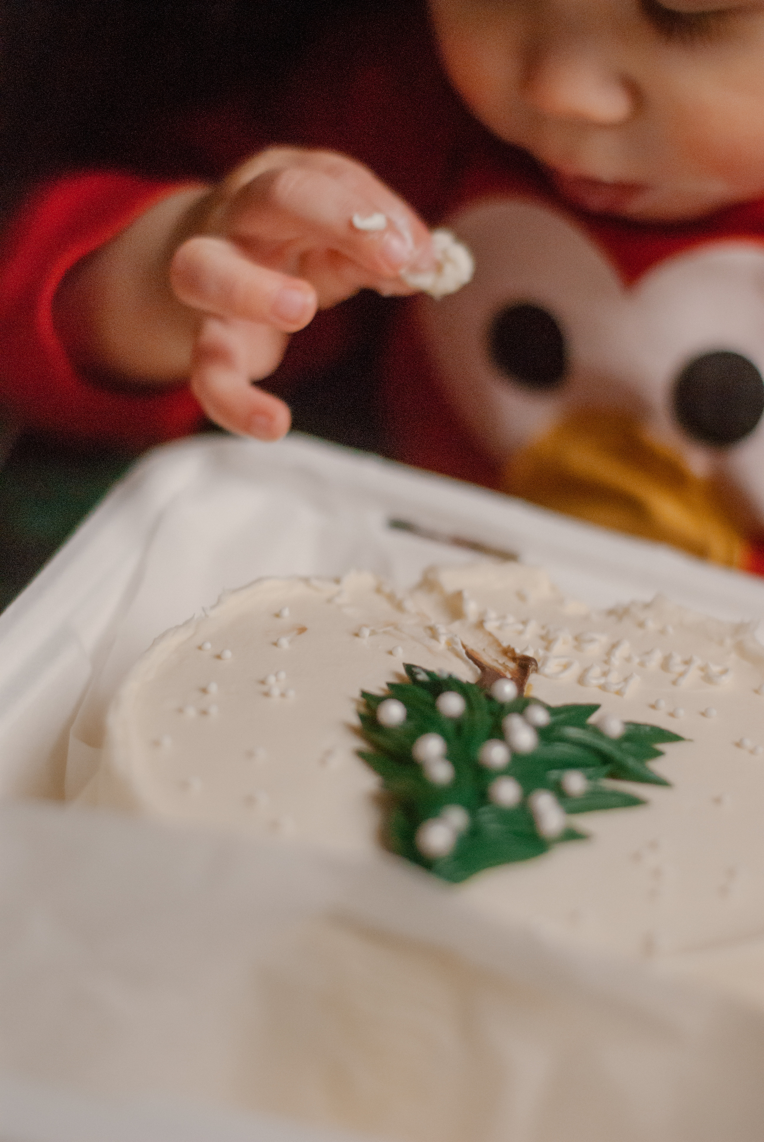 Вишенки. Ксения Чинчикеева. Фотограф Иркутск|Улан-Удэ