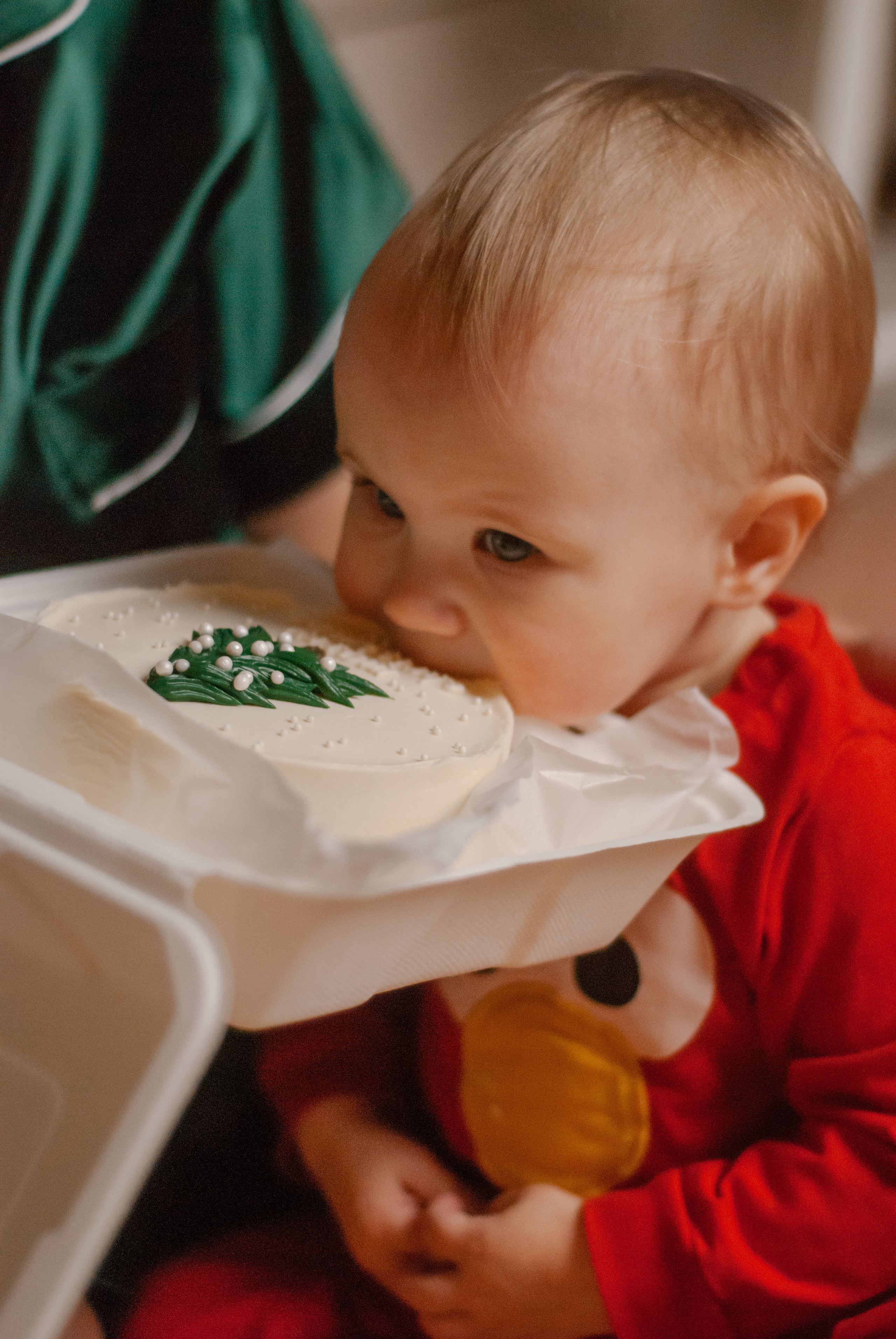 Вишенки. Ксения Чинчикеева. Фотограф Иркутск|Улан-Удэ