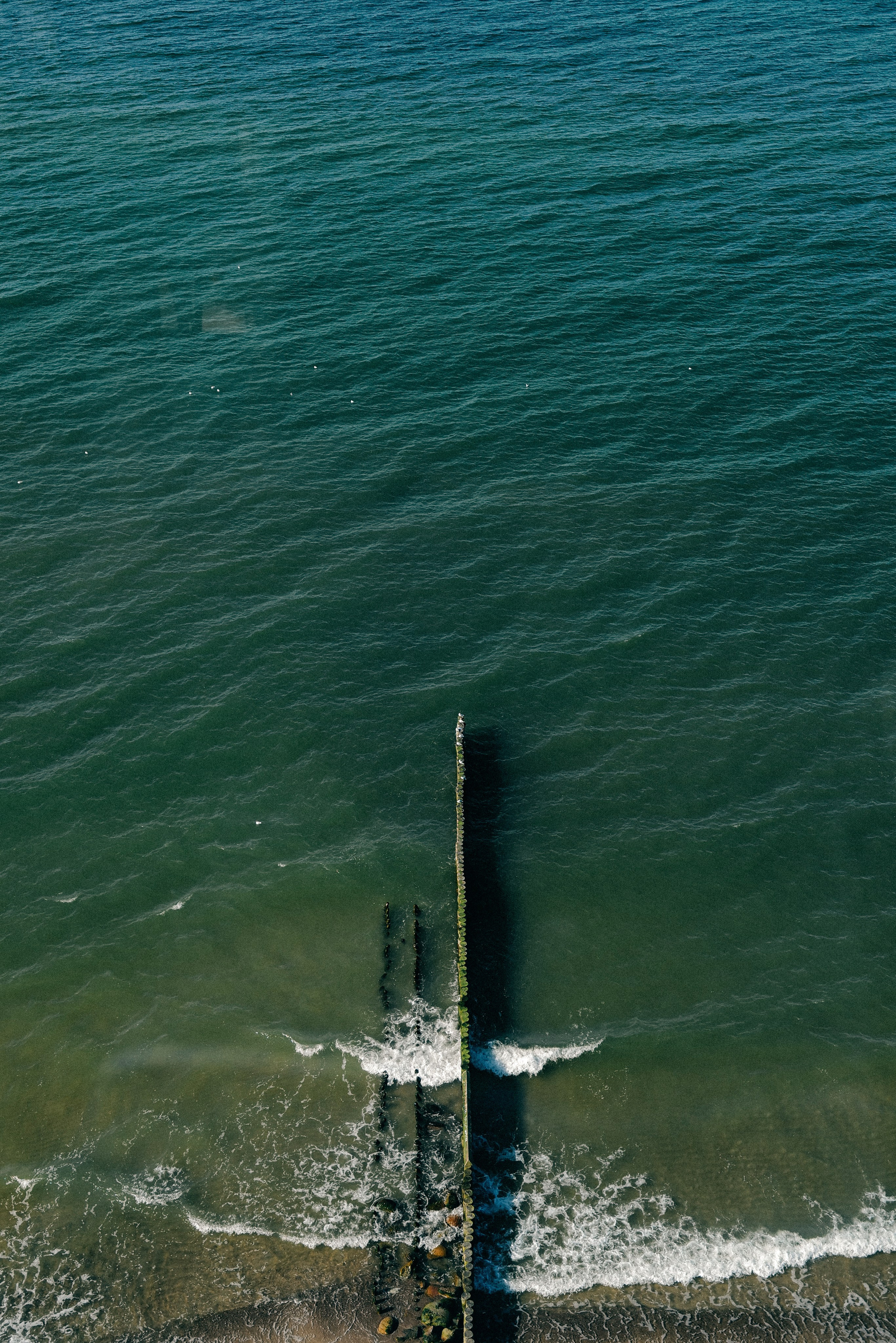 Zelenogradsk. Фотограф София Комкина