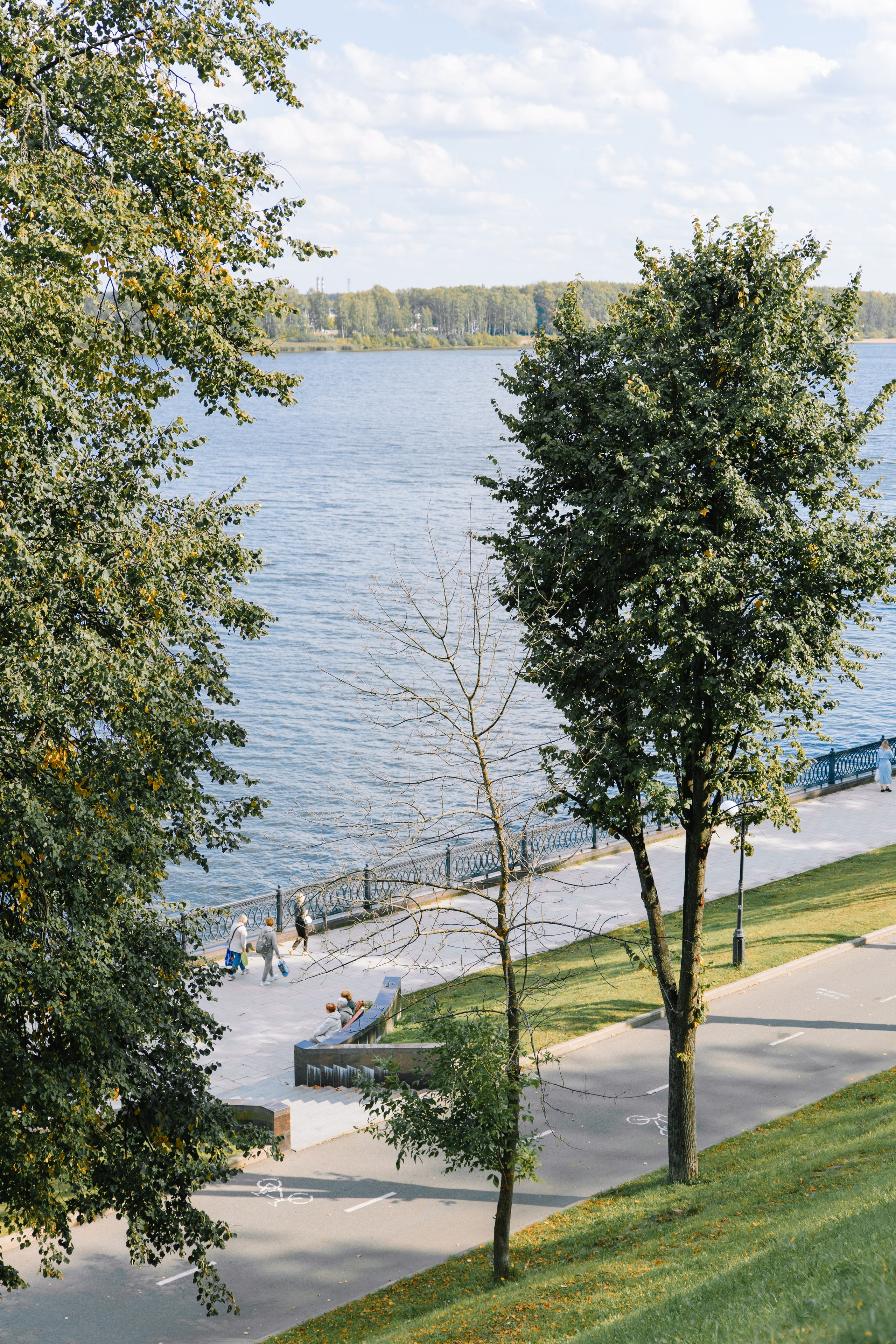 Алёна и Олег. Свадебный фотограф в Ярославле Алиса Тарасова