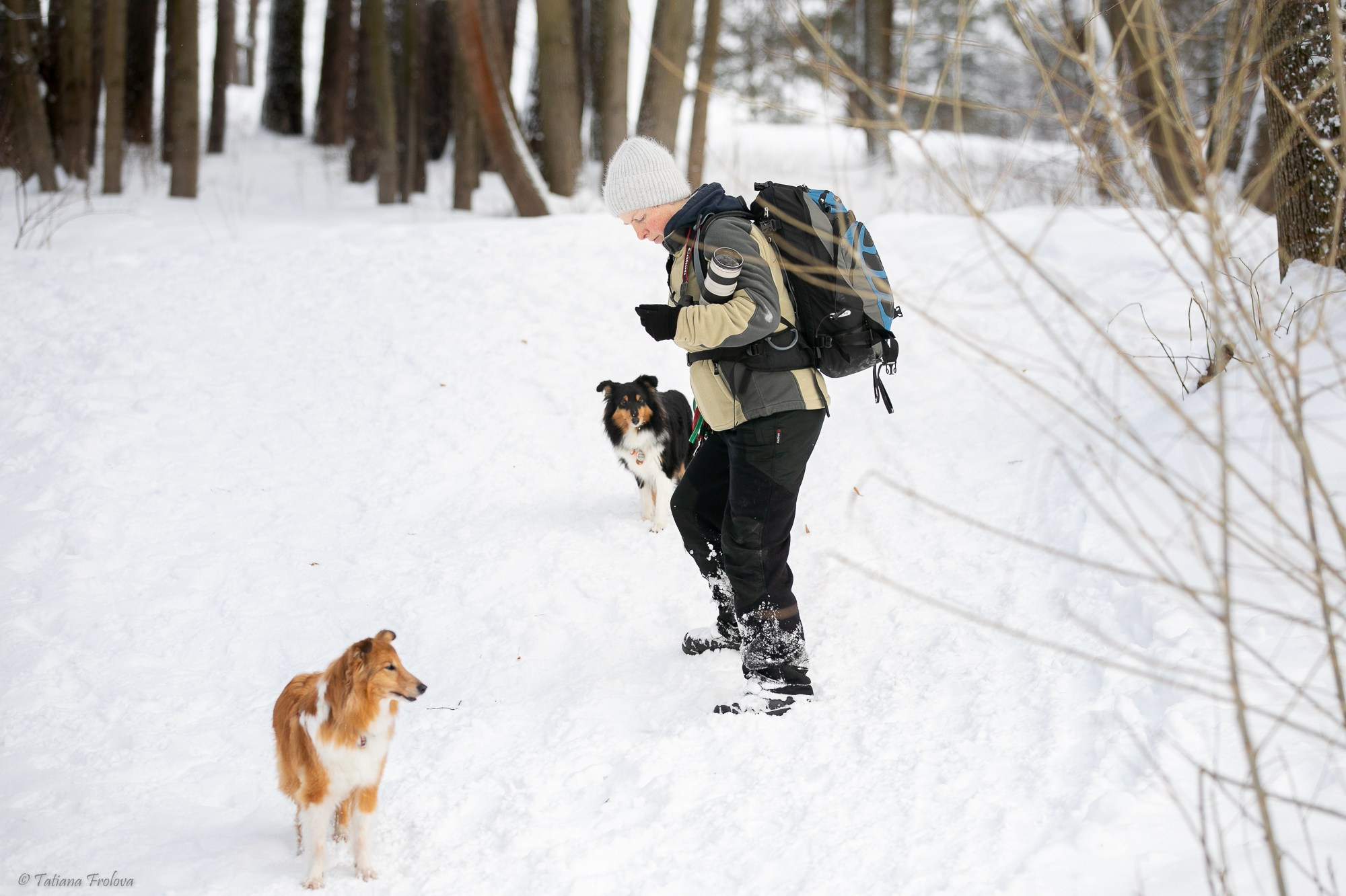 Фотосъемка похода с собаками в Московской области. Фотограф-анималист в Москве и Московской области Татьяна Фролова