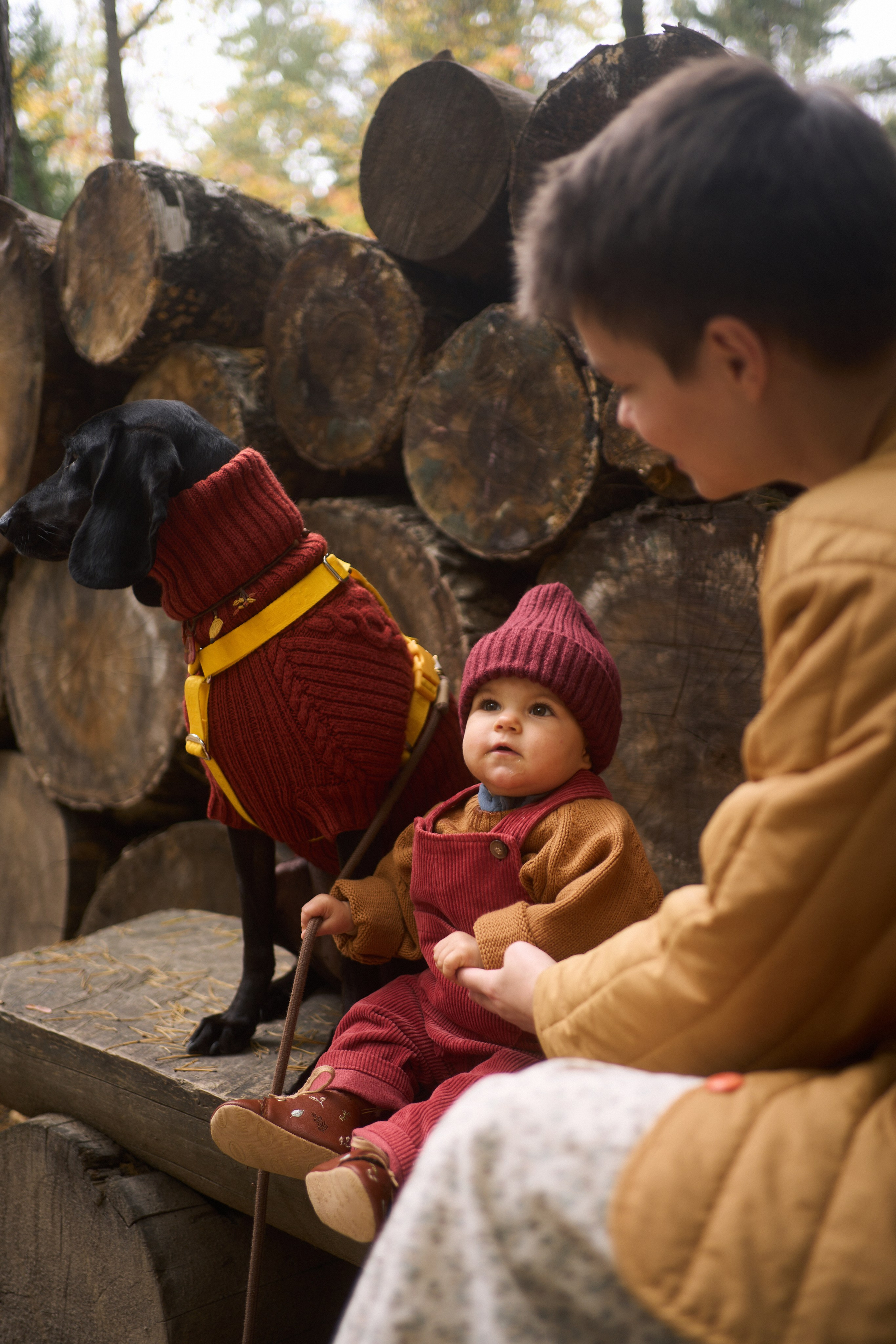 Первые шаги. Фотограф анималист Москва Дарья