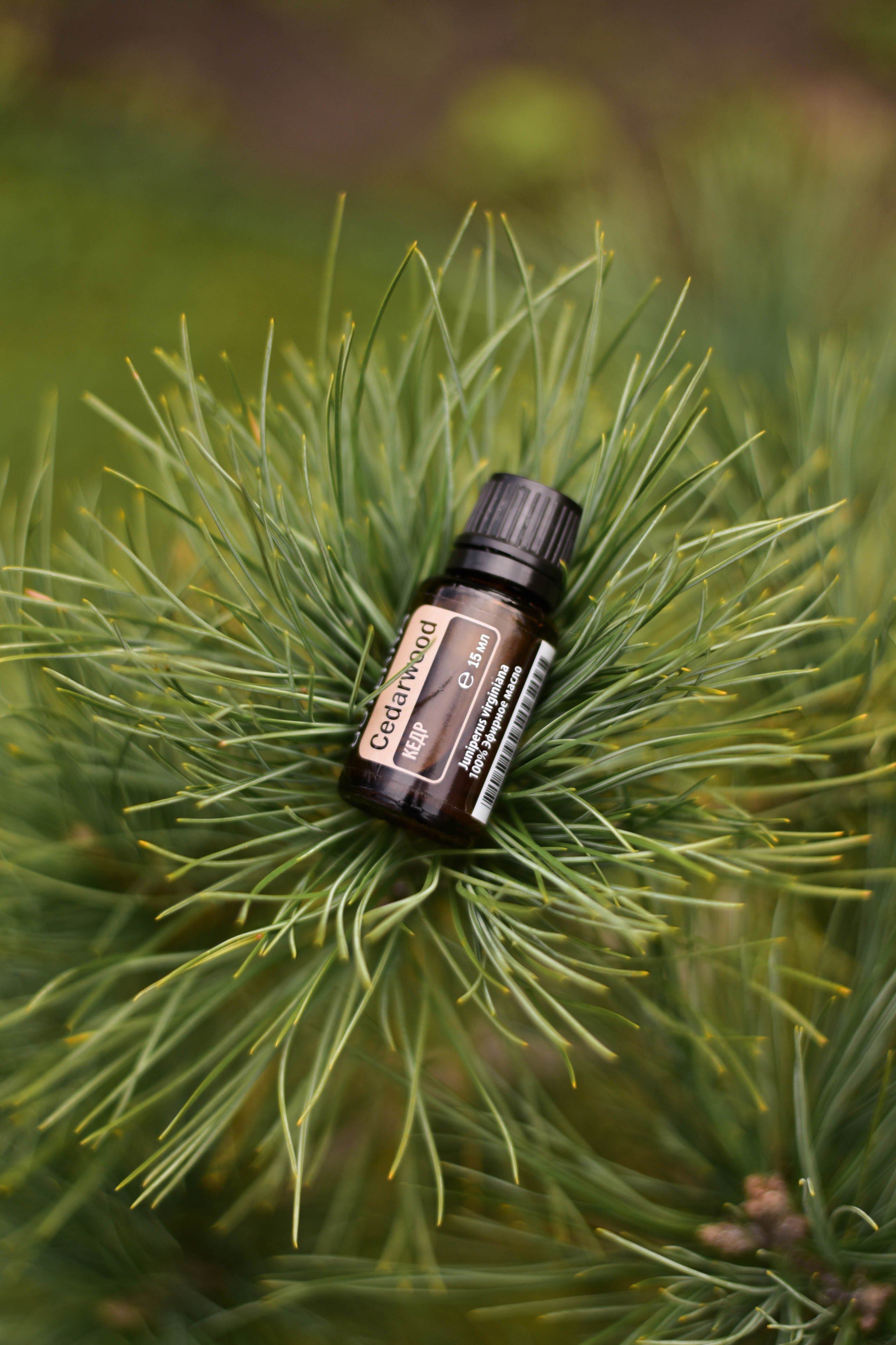 Рядом с природой. Фотограф Юлия Гревцова