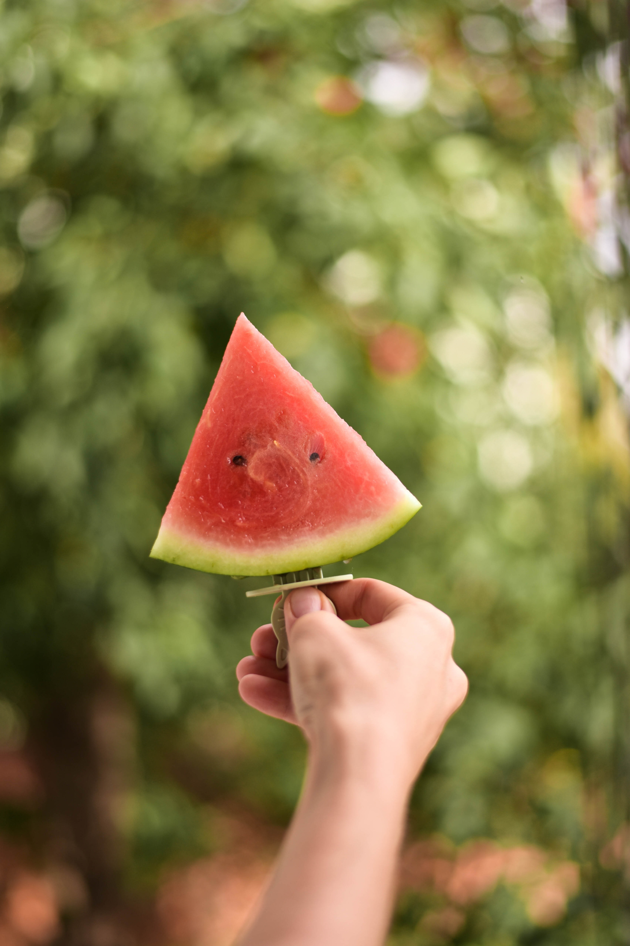 Рядом с природой. Фотограф Юлия Гревцова