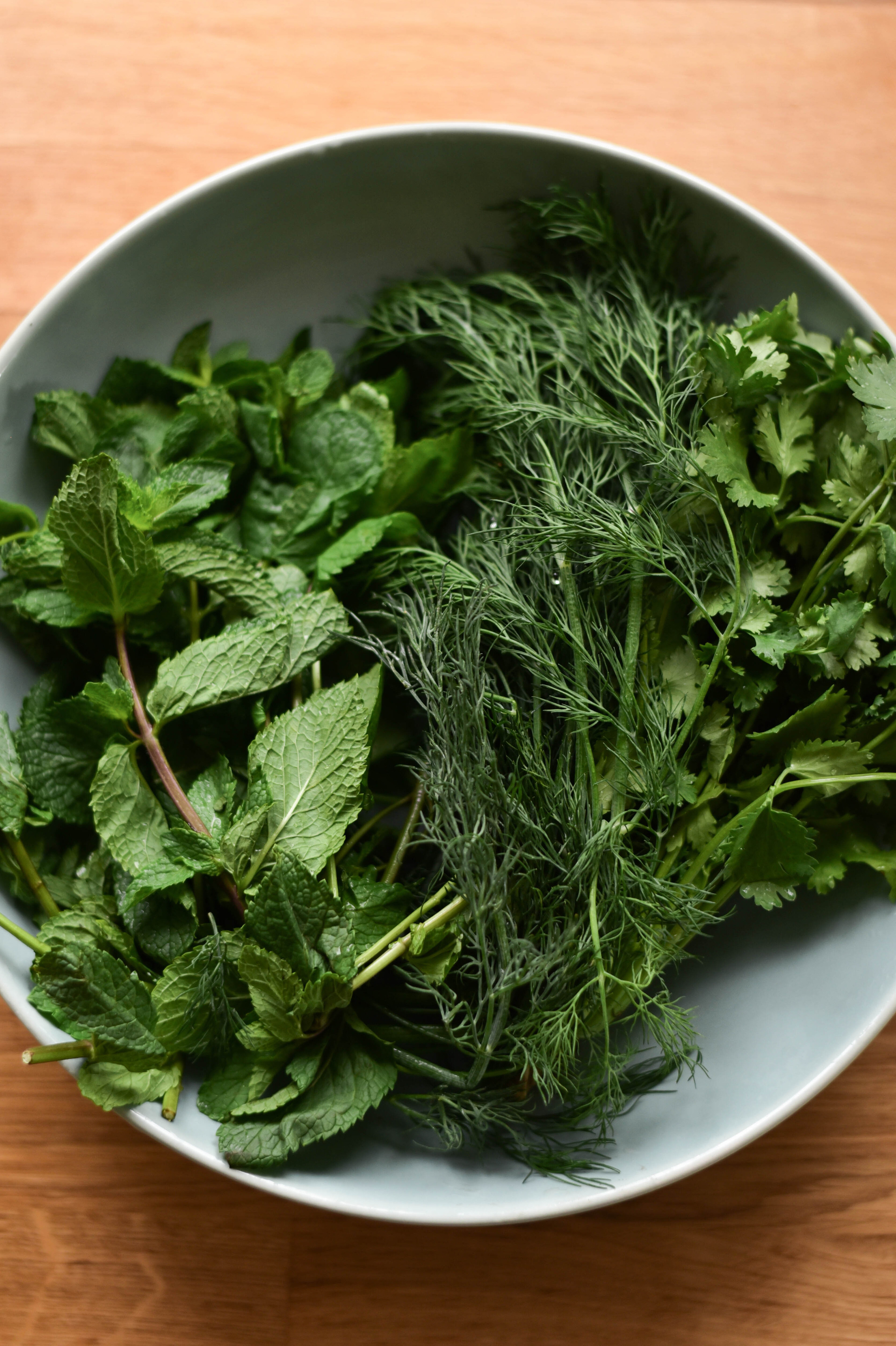 Рядом с природой. Фотограф Юлия Гревцова