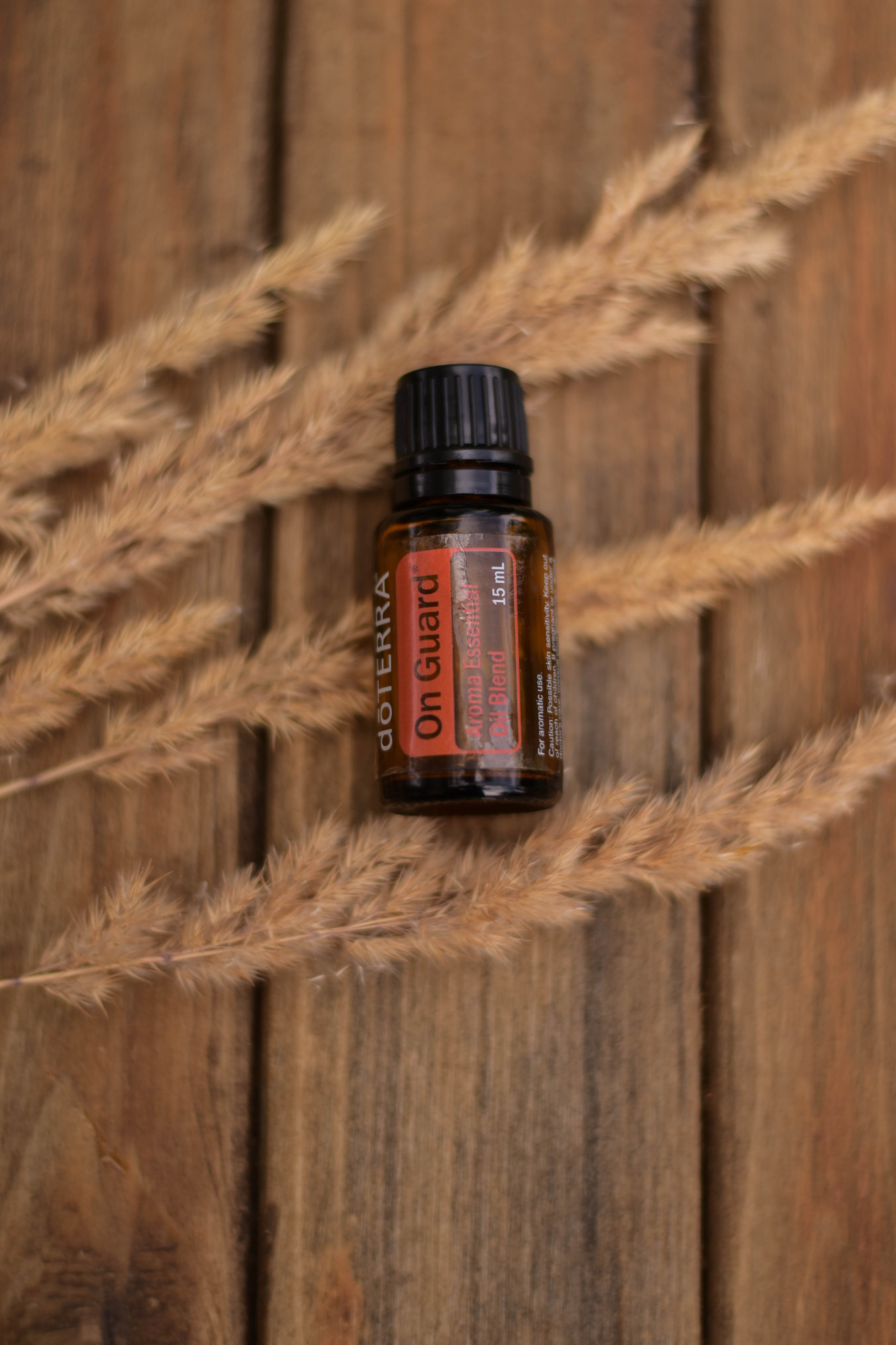 Рядом с природой. Фотограф Юлия Гревцова