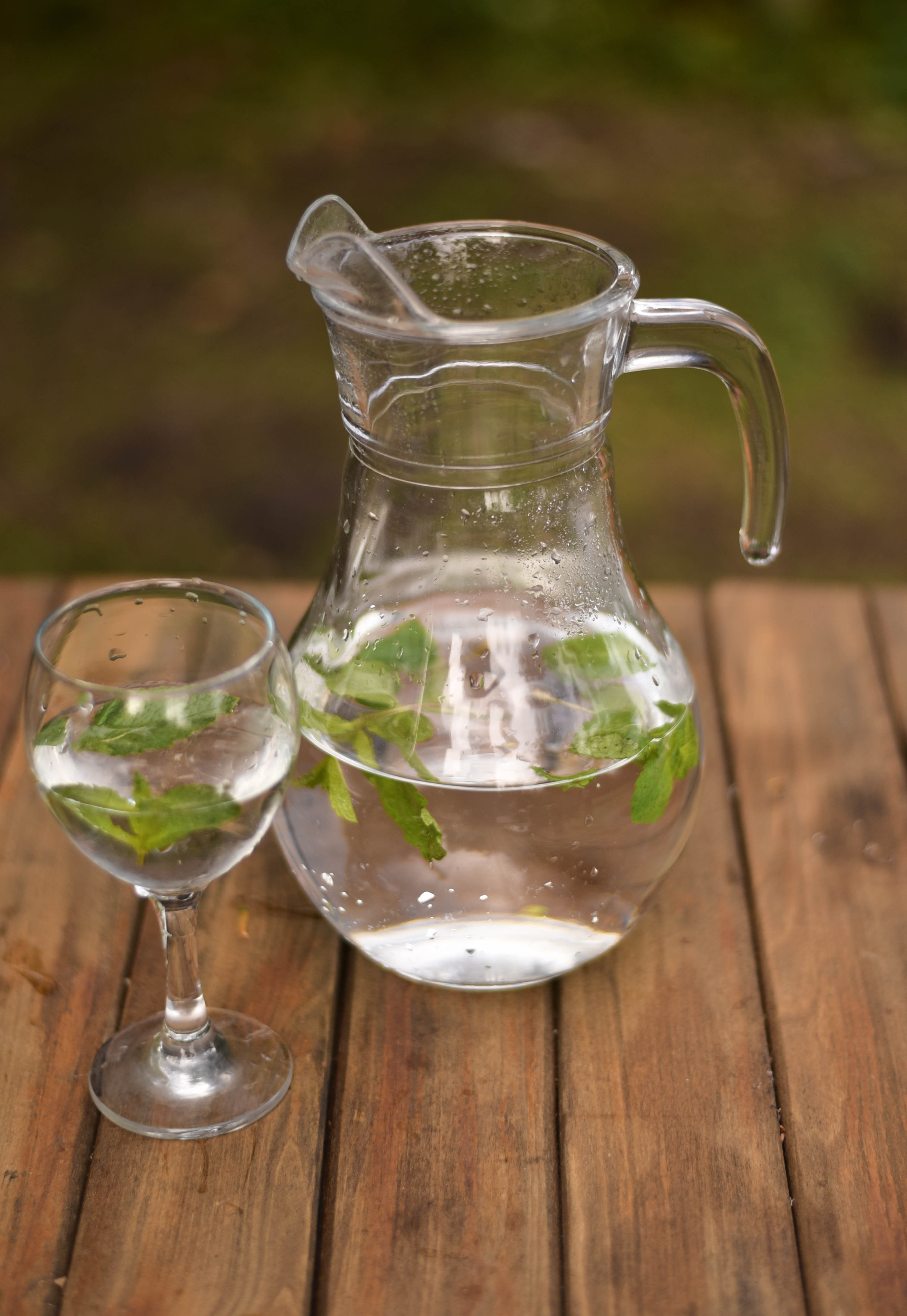 Рядом с природой. Фотограф Юлия Гревцова