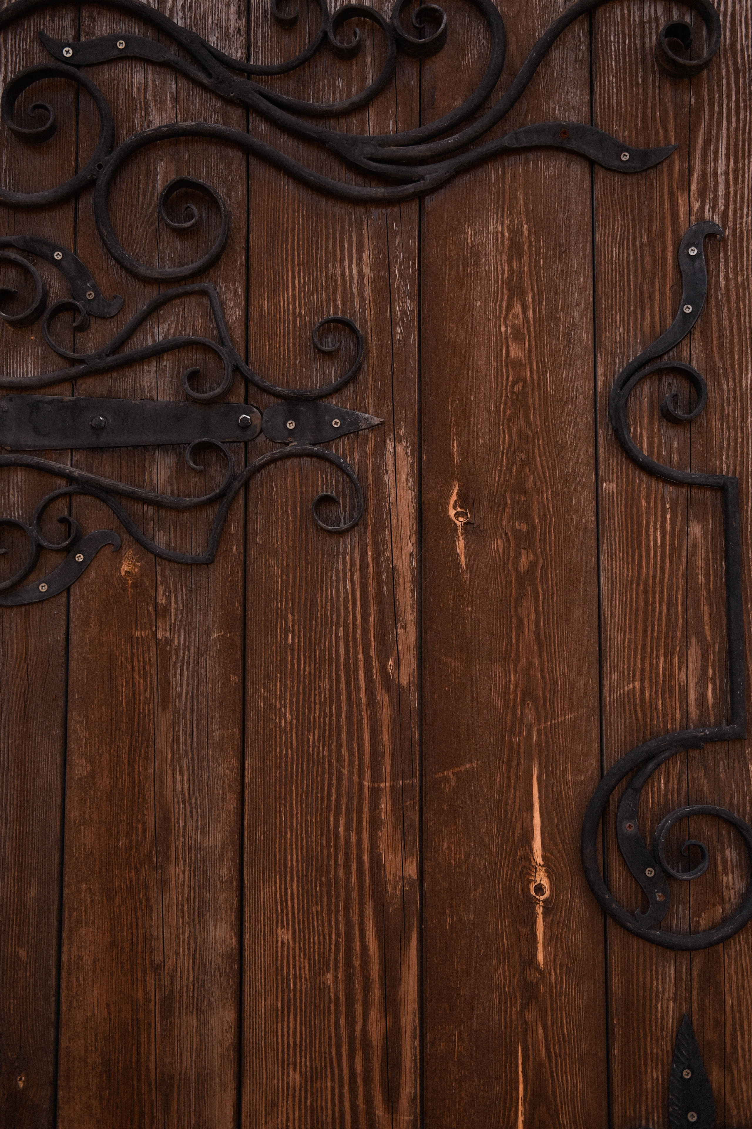 Солнечный день. Фотограф Юлия Гревцова