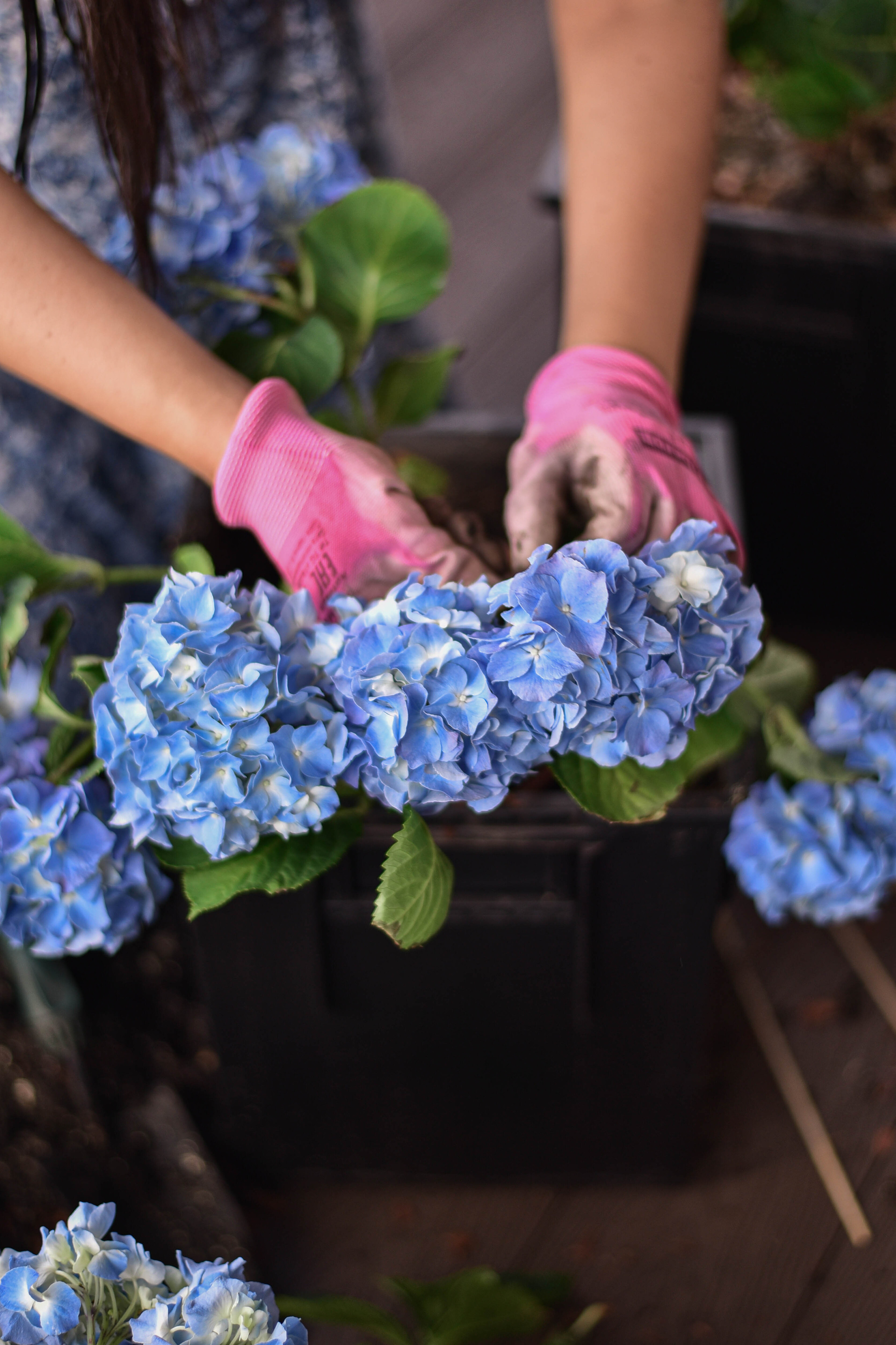 Сад — место, где цивилизация соединилась с природой. Фотограф Юлия Гревцова