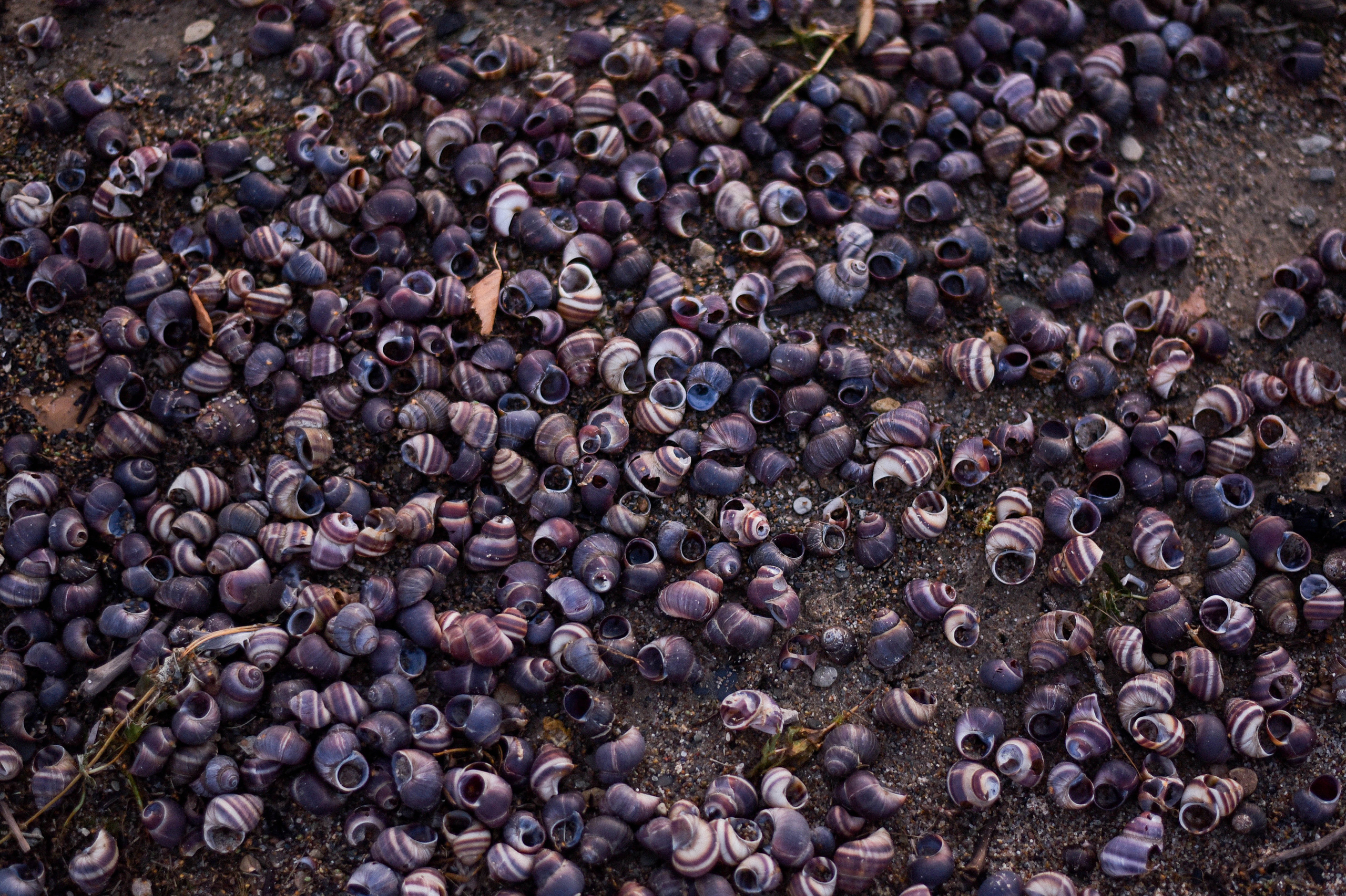 Морская история. Фотограф Юлия Гревцова