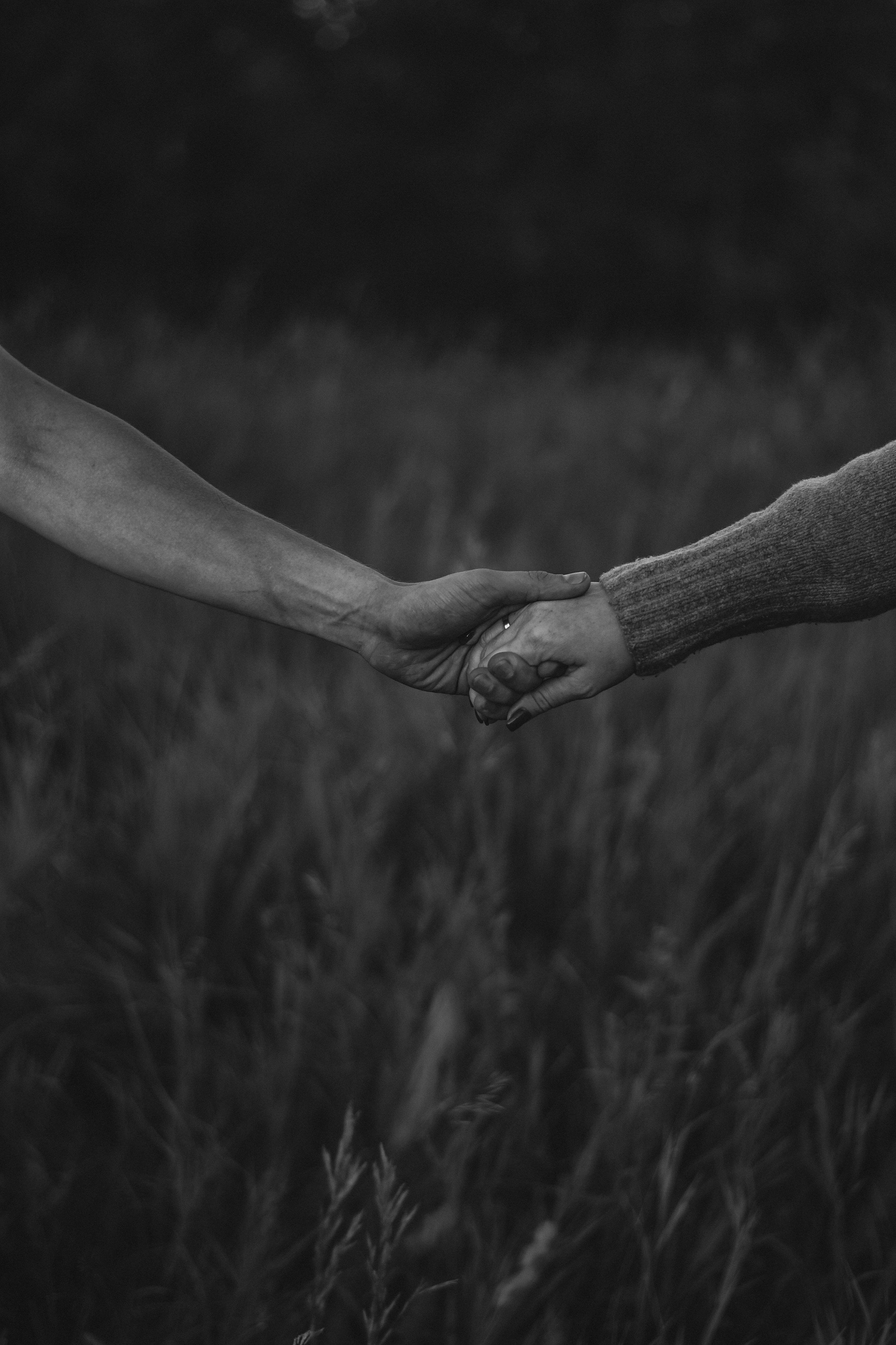 На закате. Фотограф Юлия Гревцова