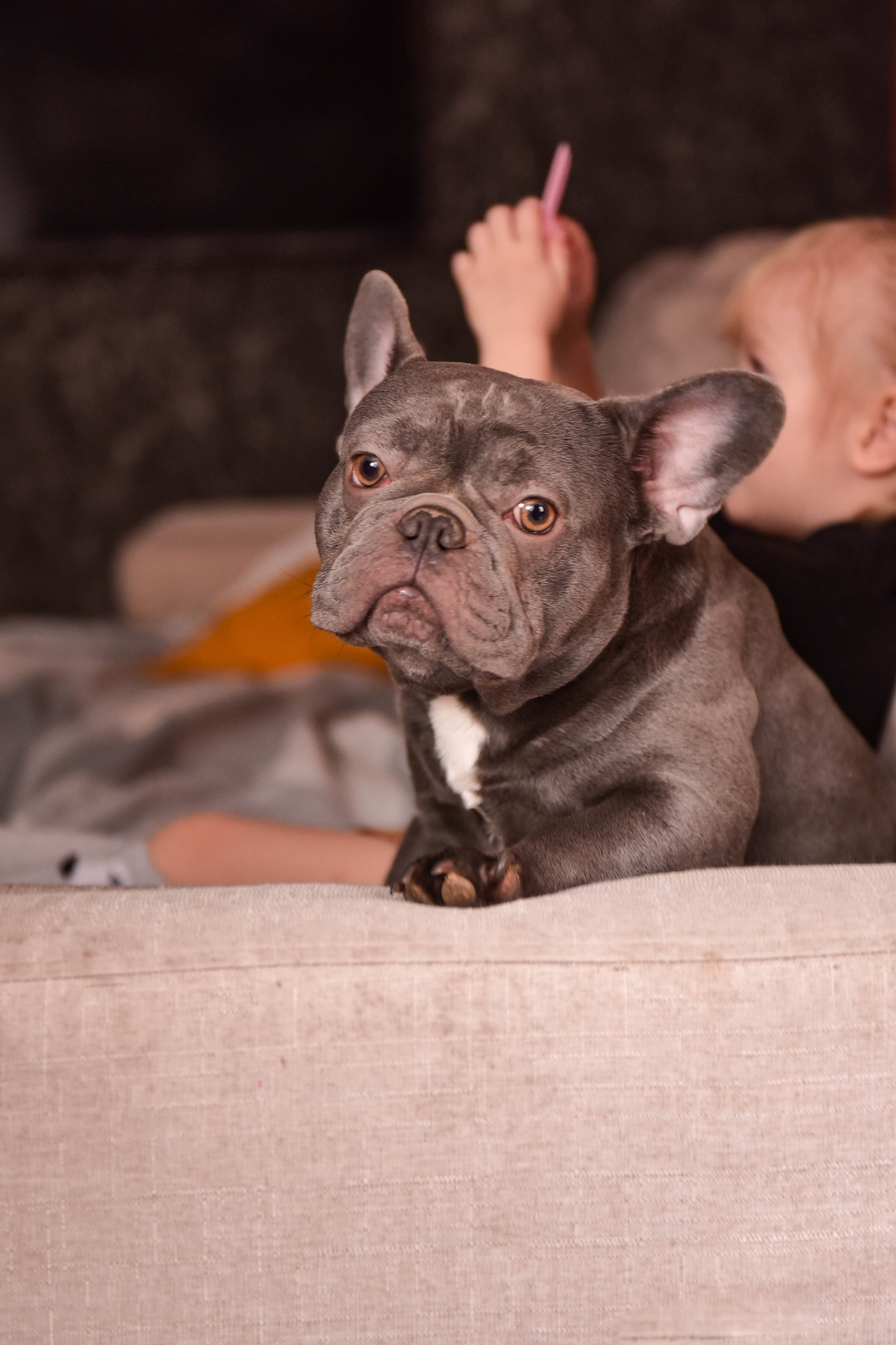 С папой всегда весело. Фотограф Юлия Гревцова