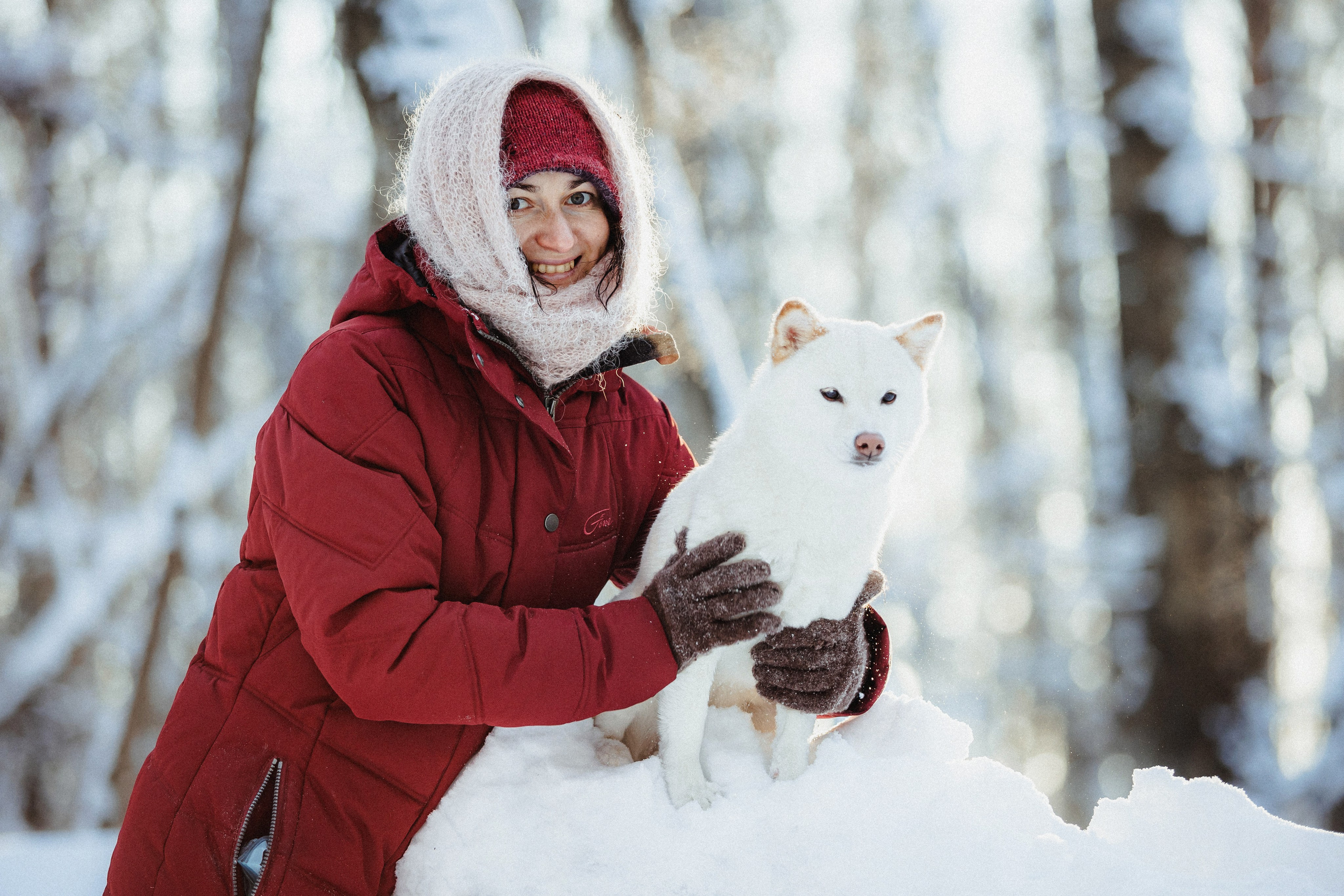 Шед, Цири и Ира