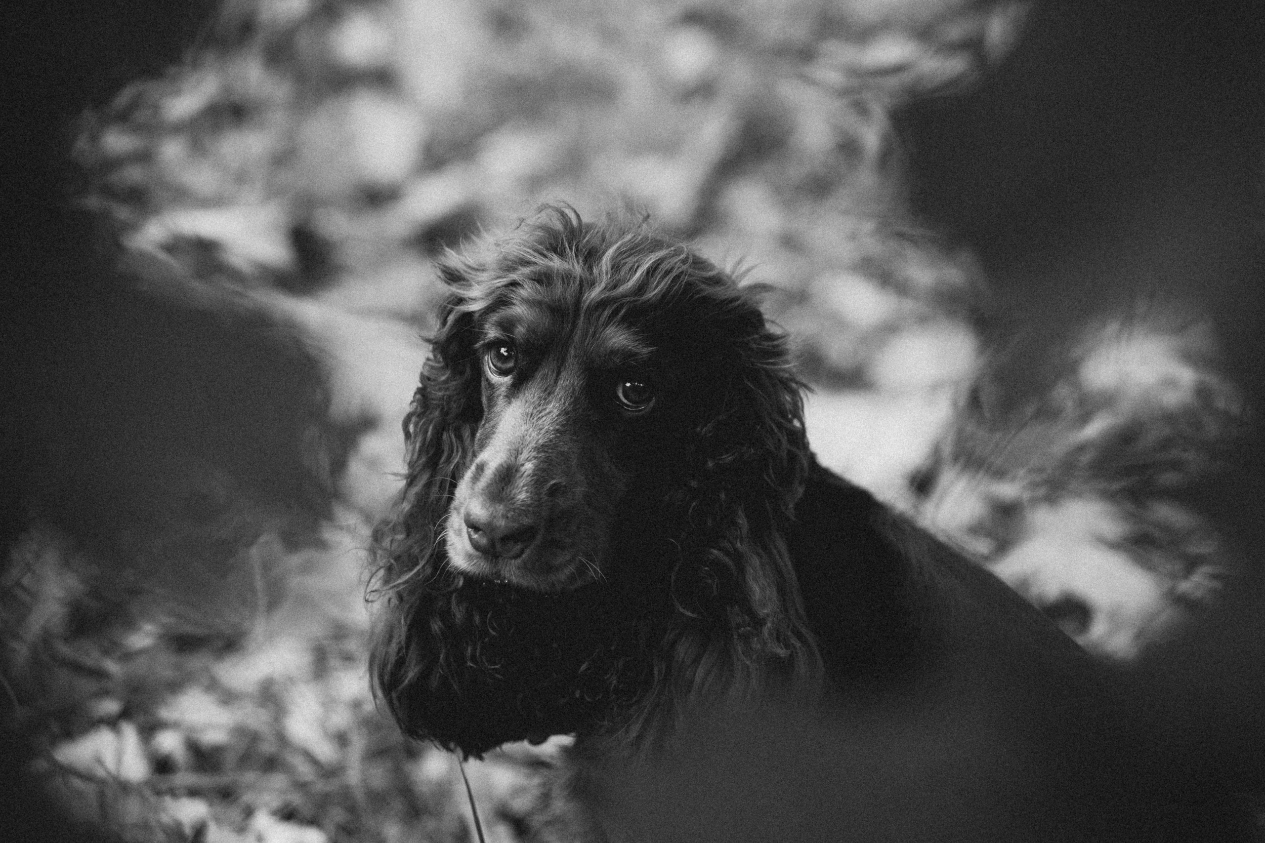 Настя, Саша и Эстер