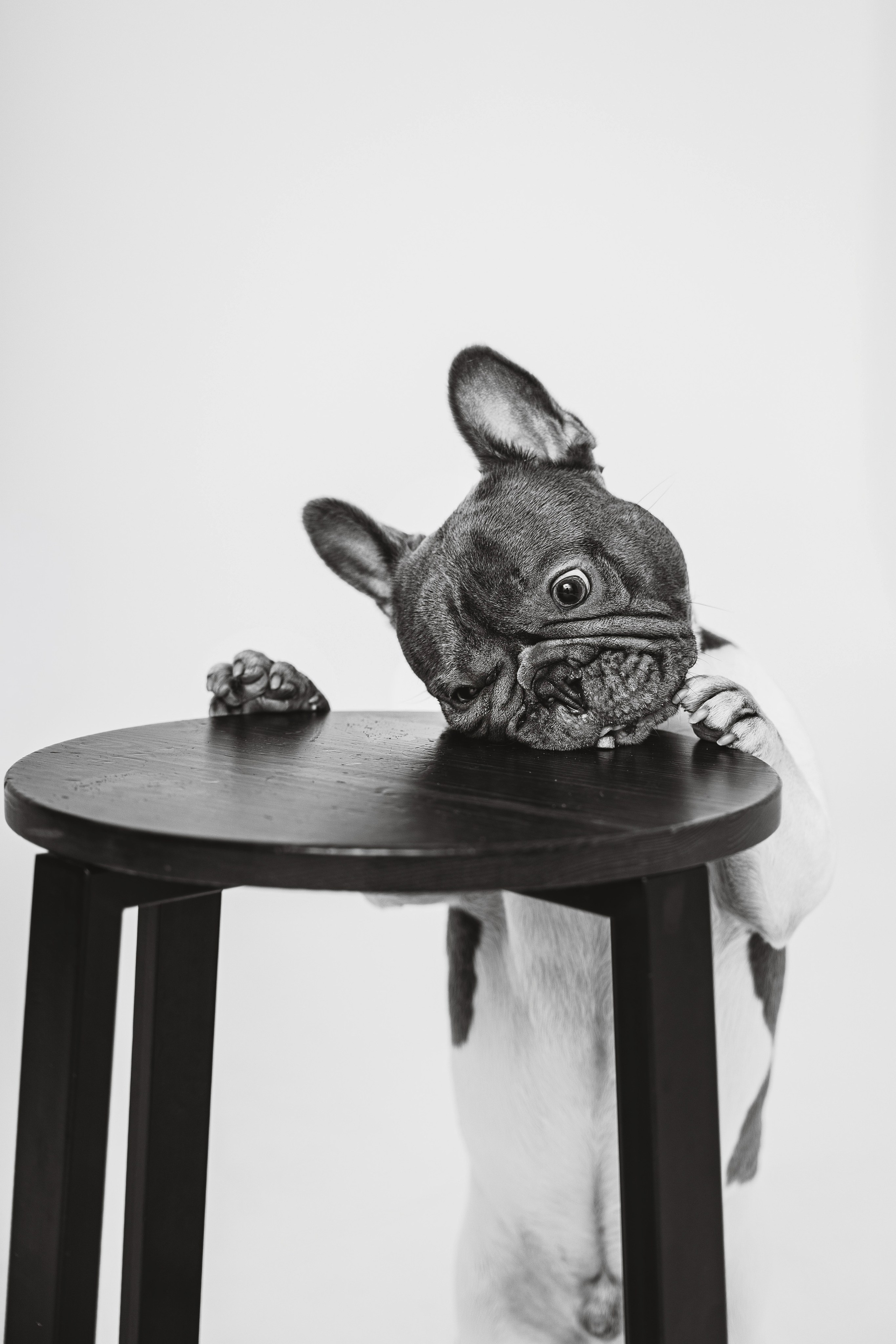 Екатерина, Виталий и Ричи