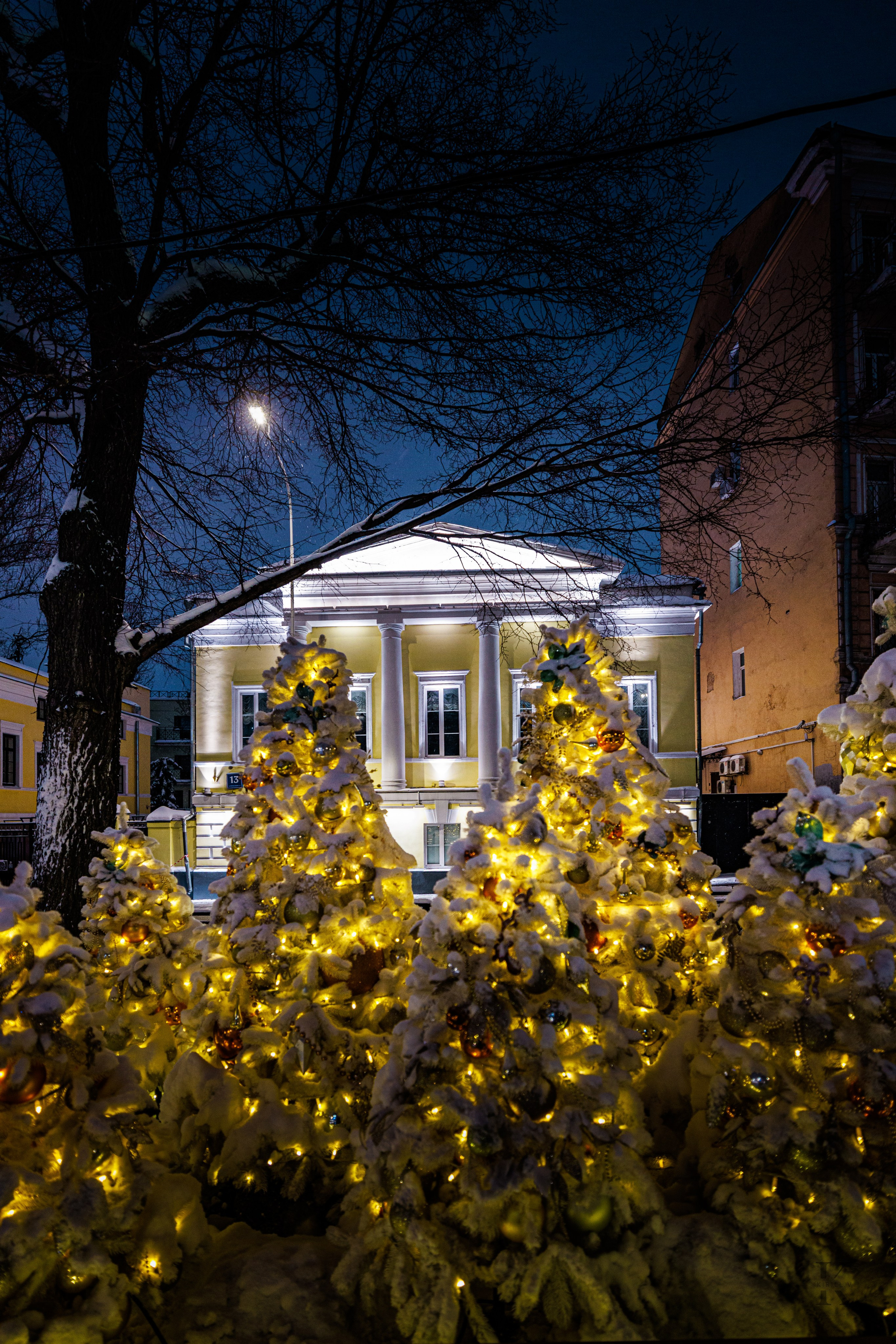 Бульвар. Январь 2026. Фотографирую жизнь! Московский фотограф волонтер