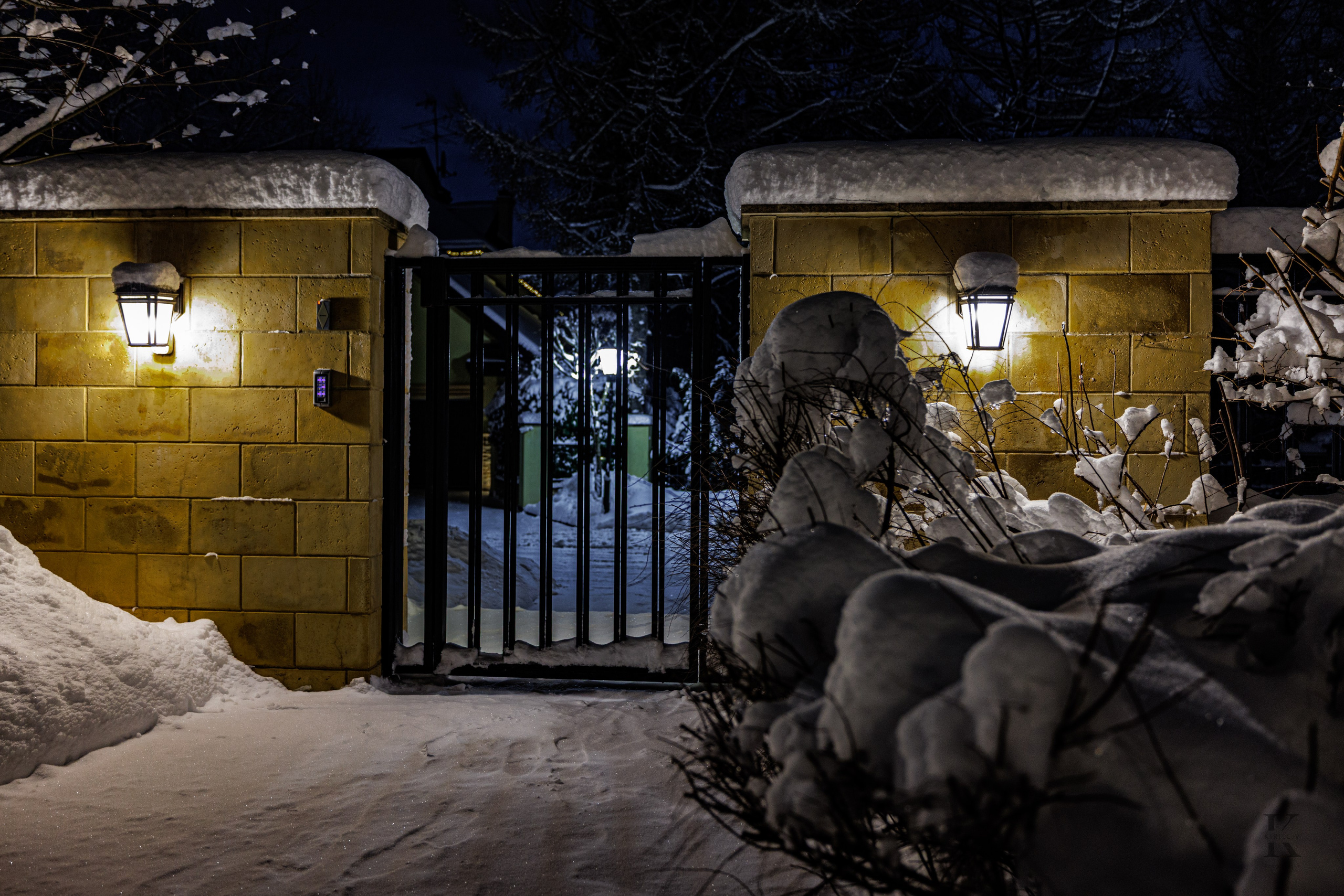 Природа 31 Декабря 2025 года. Клены. Фотографирую жизнь! Московский фотограф волонтер